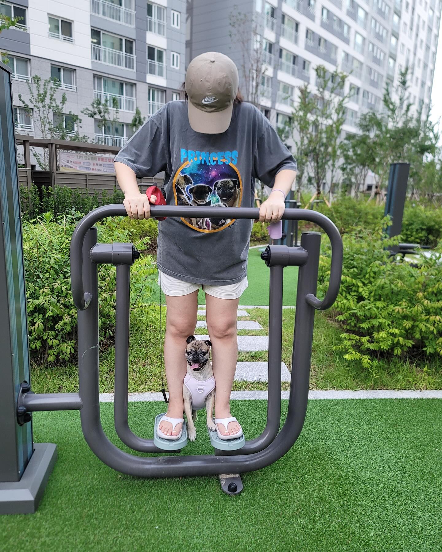 눈나 !!!! 운동하지마 !!!
나 운동 못하게 방해하는애… 😂
어후 산에도 올라가고싶고 ,개운하게 땀빼고싶은데
현실은 좀만 걸으면 왼쪽배가 아픔 ..

#임신22주 #임산부스타그램 #임신기록 #반려견소통 #임산부소통