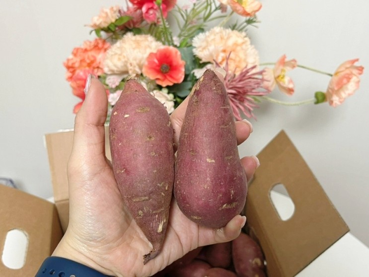 맛있는고구마추천 양새댁농산물 베니하루카꿀고구마 추천!