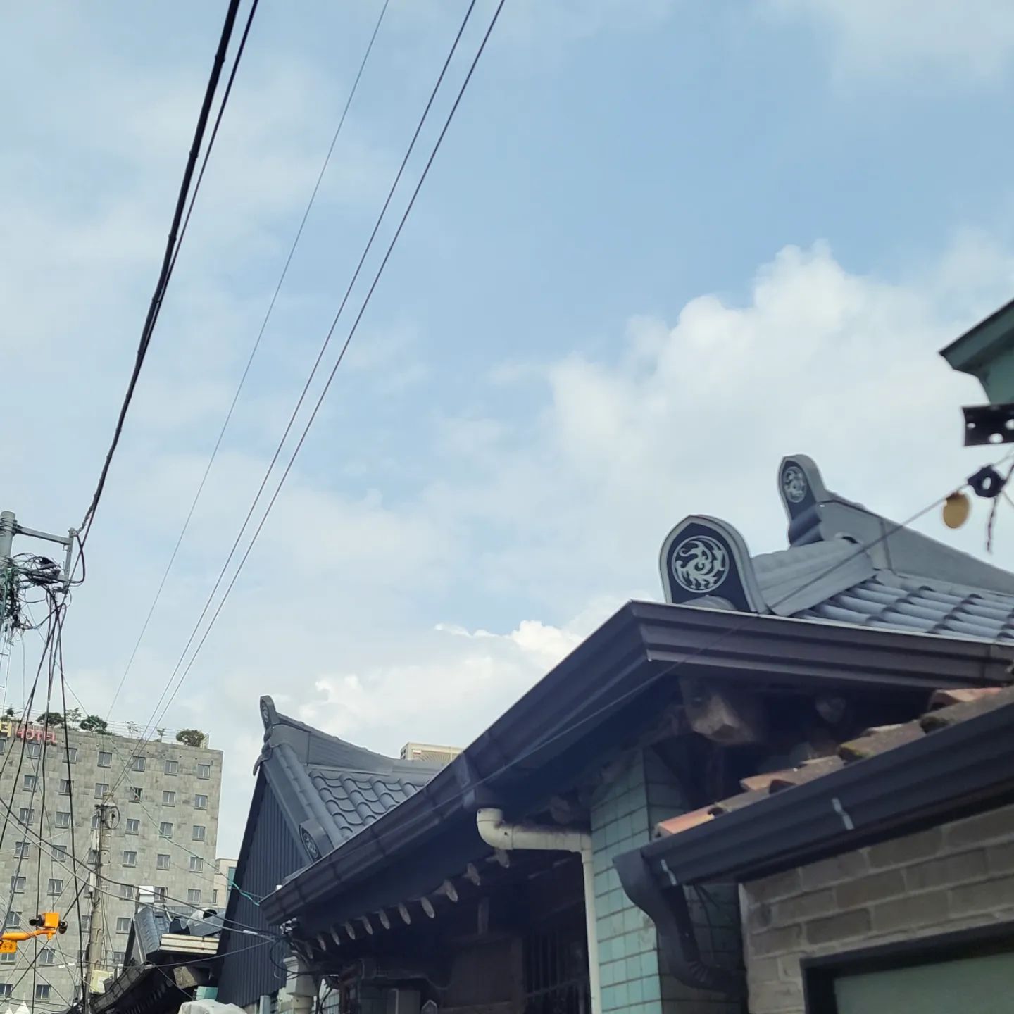 #익선동 #빠리가옥 #식물

얼마전 다녀온 익선동
벌써(?) 두번이나 다녀온곳이 되었어요
그냥 모임에서 청첩장모임으로 바뀌어서 떨리기는 무슨 그냥 좋아하는 사람들 볼 생각에 신나서 다녀왔습니다
서울 속 빠리~! 빠리가옥에서 점심💕 작은 소동이 있었으나 음식은 야무지게 서비스후식까지 받아먹고 왔어요 양파스프 맛있었당!

✔️예약이 가능해서 정말 좋았어요💕

너무 배가 불러서 짧게 익선동 구경 좀 하고 어디에나 가득한 사람들로 인해 겨우 카페 식물에 자리잡고 2차 수다를 떨었죠💕

좋아하는 사람들의 좋은 소식은 하루를 더 멋지게 만드는것 같아요💕

#점심두시간전에햄버거먹고감
#근데도제일잘먹은사람