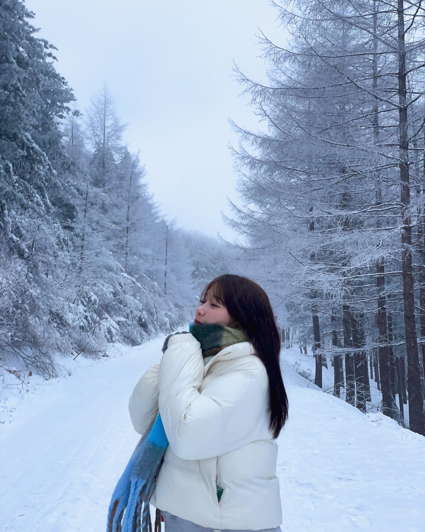 #만항재 
#설경 

처음가본 만항재...❄️
설경 진짜 저세상 급이야