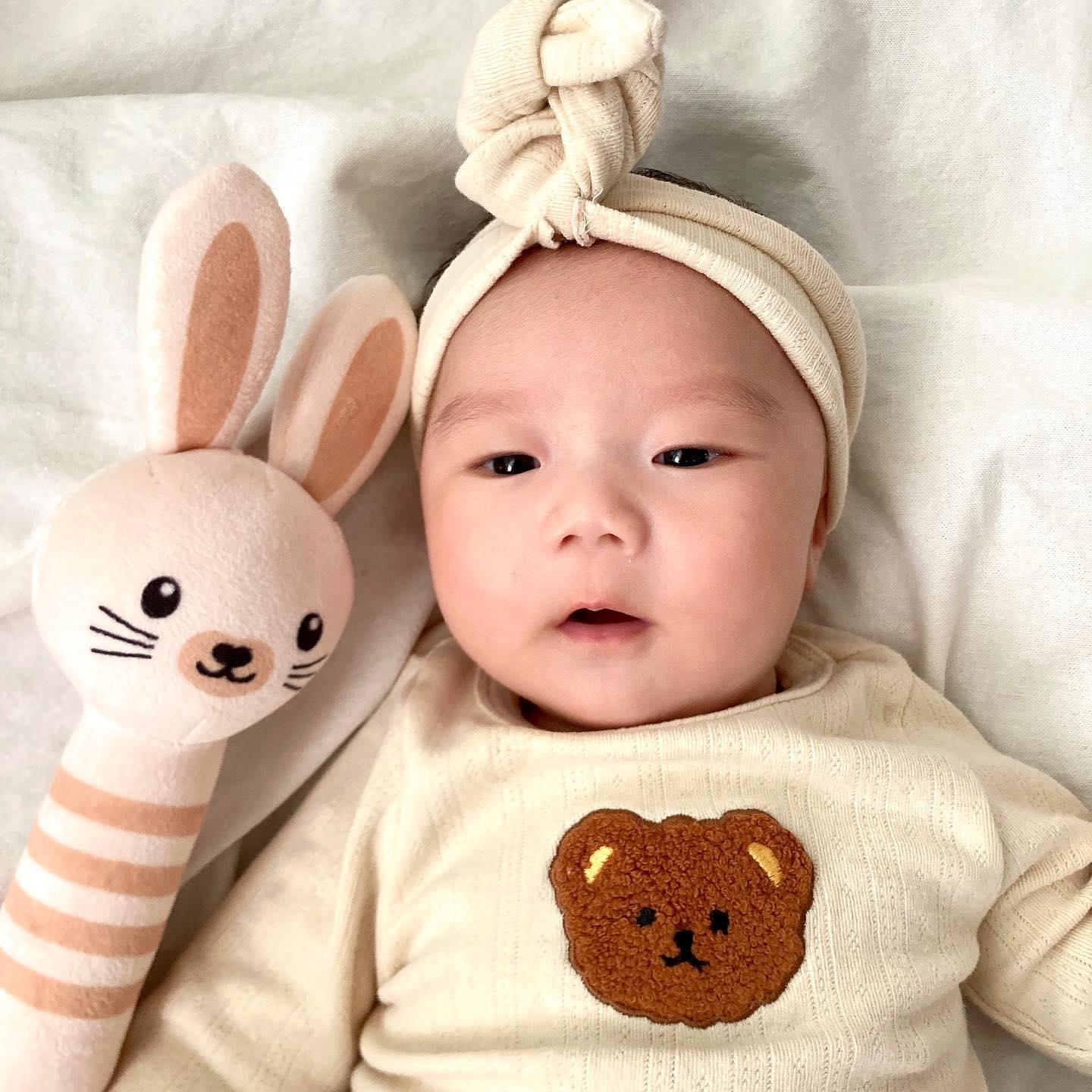 토실토실 곰도리🤎🐻🤎