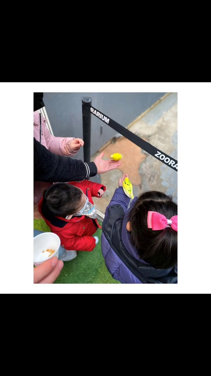 추억으로 뜨는 사진들❤️

아이들 크는건 순식간이네♡
울아들 아장아장 걸어다닐때가 엊그제 같은데..ㅎ
벌써 5살형아가 되서 이제는 말도 엄청나게 잘하고,
아주 씩씩하고 밝은 개구쟁이가 되었네😊
우리 공쥬들도 이제는 초딩언니들♡
아프지않고 씩씩하게 잘 커줘서 너무 고마워 내새끼들♡♡