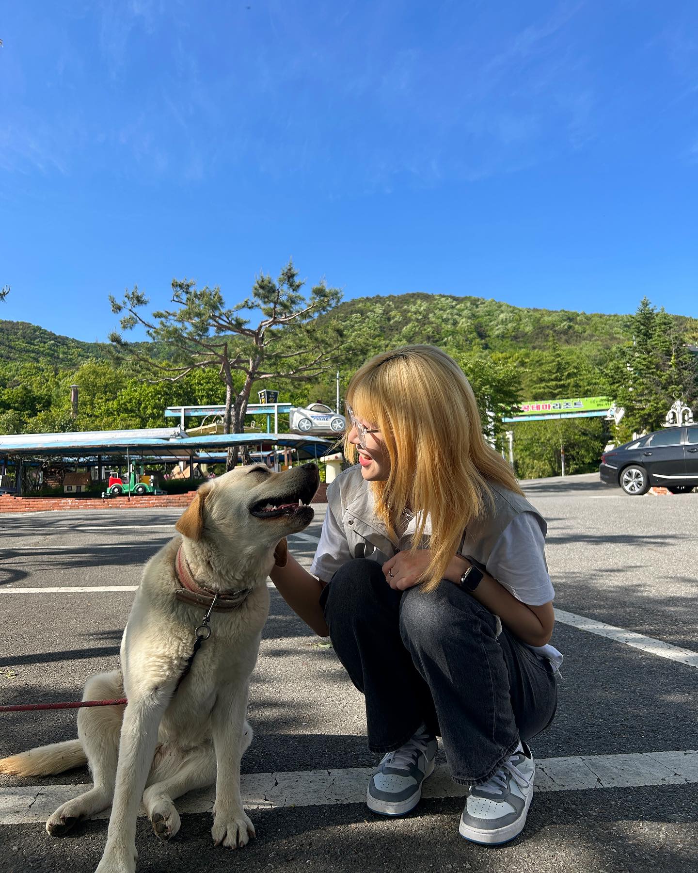 팔공이랑 브라우니🐶