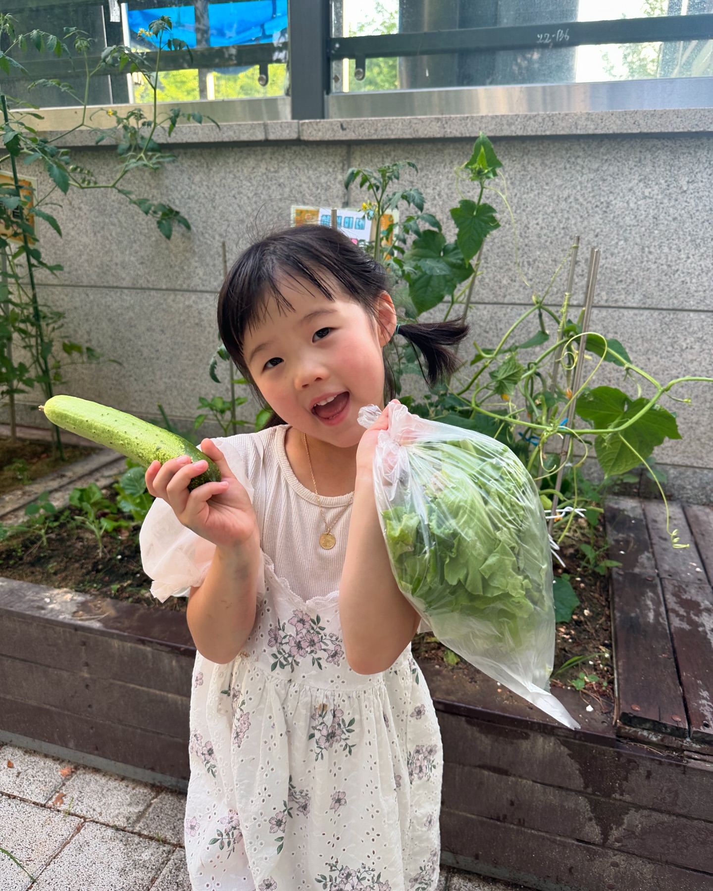 🥒
#20240619

나의 정성이 가득 들어간 서현의 텃밭💚💚
서현이가 기쁘게 농장물이 커지고 잘 자라길 바랬다
서현이도 오이가 커지는 순간도 지켜보니 신기하고
좋아하는 모습에 나도 기분이 좋다💚
우리의 🥬🍅🫑🥒 쑥 쑥 자라다오

#서현이네텃밭 #유기농
#엄마정성#한가득 #서현이행복#한가득