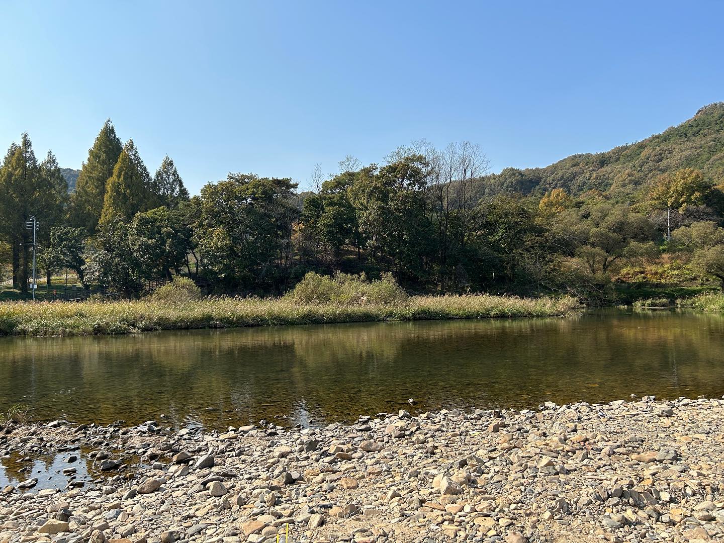 콘텐츠
