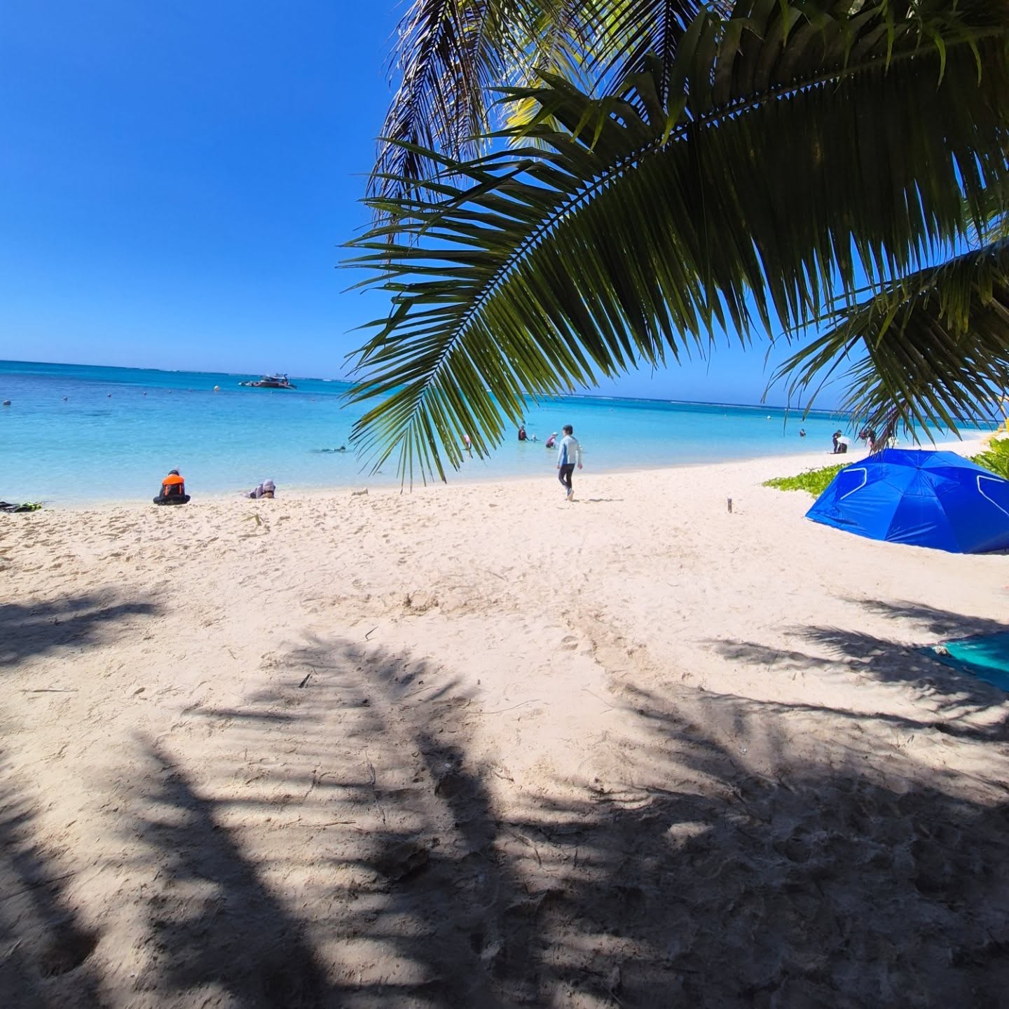 사이판 마나가하섬🏝 바다색은 캔디바색~
너희 쉬지도 않고 2시간 넘게 스노쿨링한거 사실임?🐠
엄청 큰 물고기부터 작고 귀여운 물고기 많아요~
아기상어도 만났는데 사진 어디갔지?
패러세일링 처음 도전한 앵두는 또 타고 싶대요🙂

#마나가하섬
#사이판여행
#마나가하패러세일링 
#사이판스노쿨링 
#마나가하섬스노쿨링 
#앵두튜브