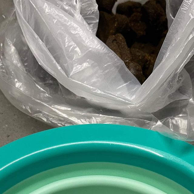 @gamzalog on Instagram: "#협찬 X @gaazayopet_korea [Gaazayo Pet] 댕이, 냥이를 위한 가자요펫 22가지 필수 영양소 및 항산화제 댕이, 냥이에게 필요한 필수 22가지 영양소에 항산화제까지 추가 된 영양제