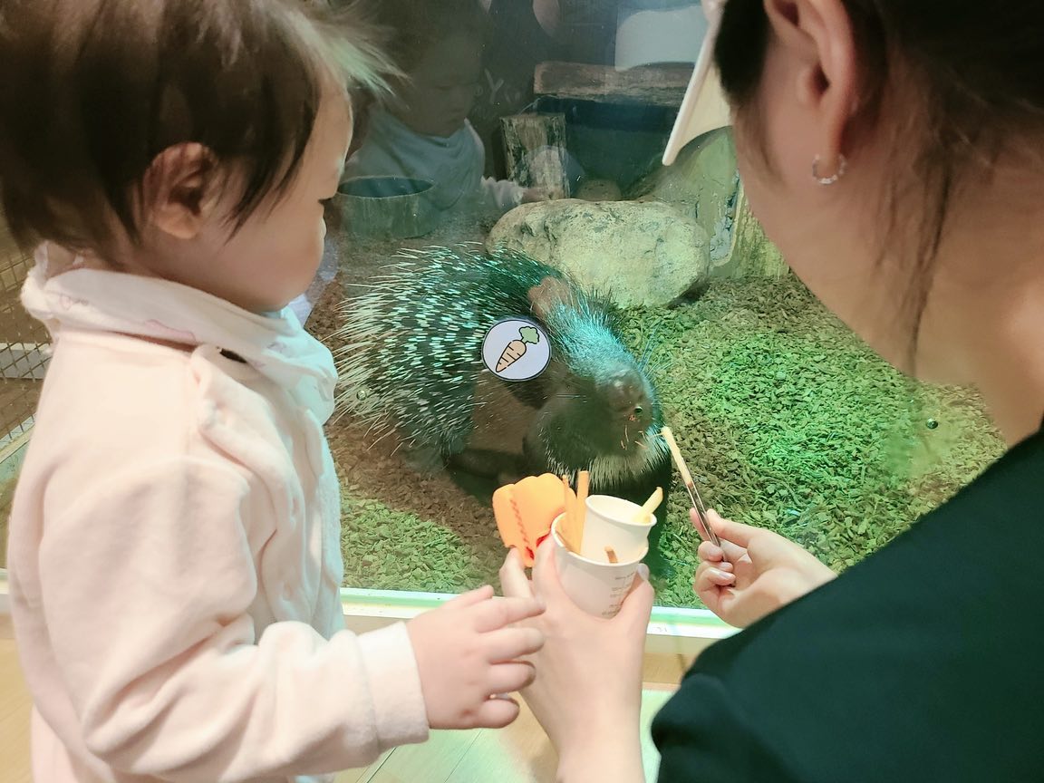 *
서울 실내동물원 금천 쥬라리움
12개월 아기도 좋아해요!!
하지만 쪼끔 무서워한 건 비밀^^**