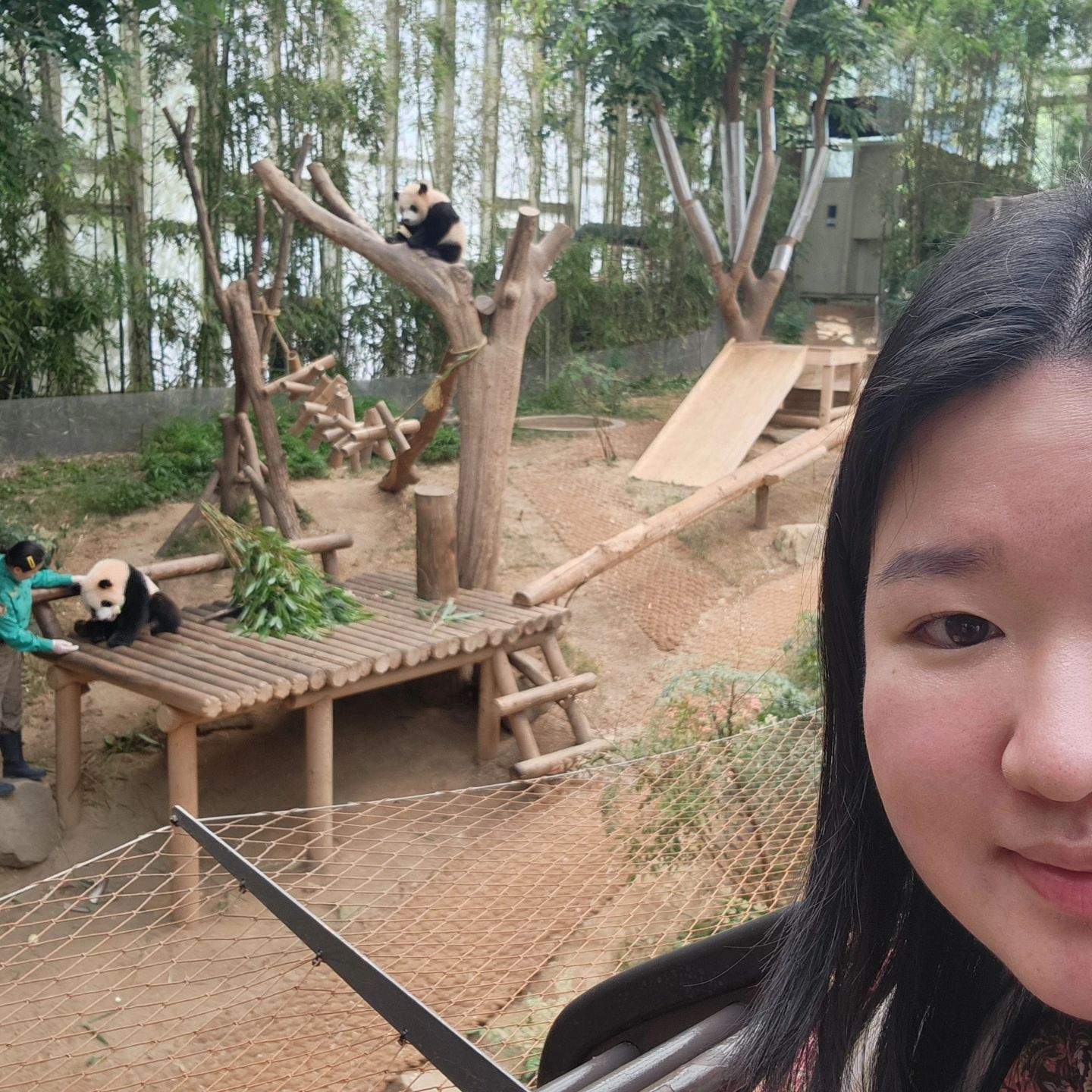 환상의 나라 에버랜드
판다월드
평일이라 10분 볼수있고 대기는 20분에서 30분
졸귀엽당 ....판다....