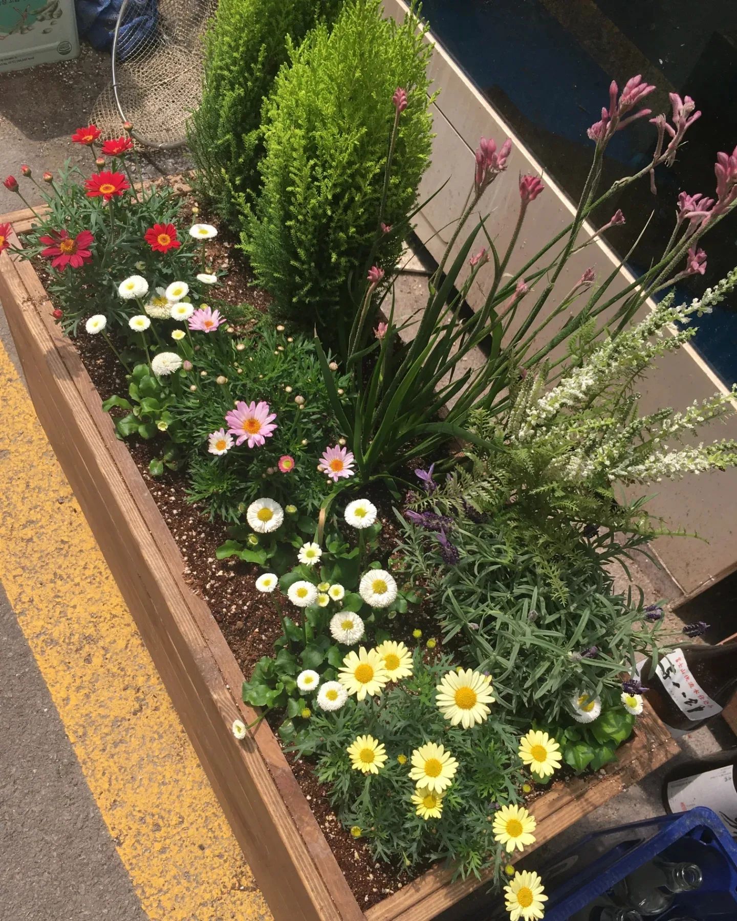 정인이랑 정오 산책