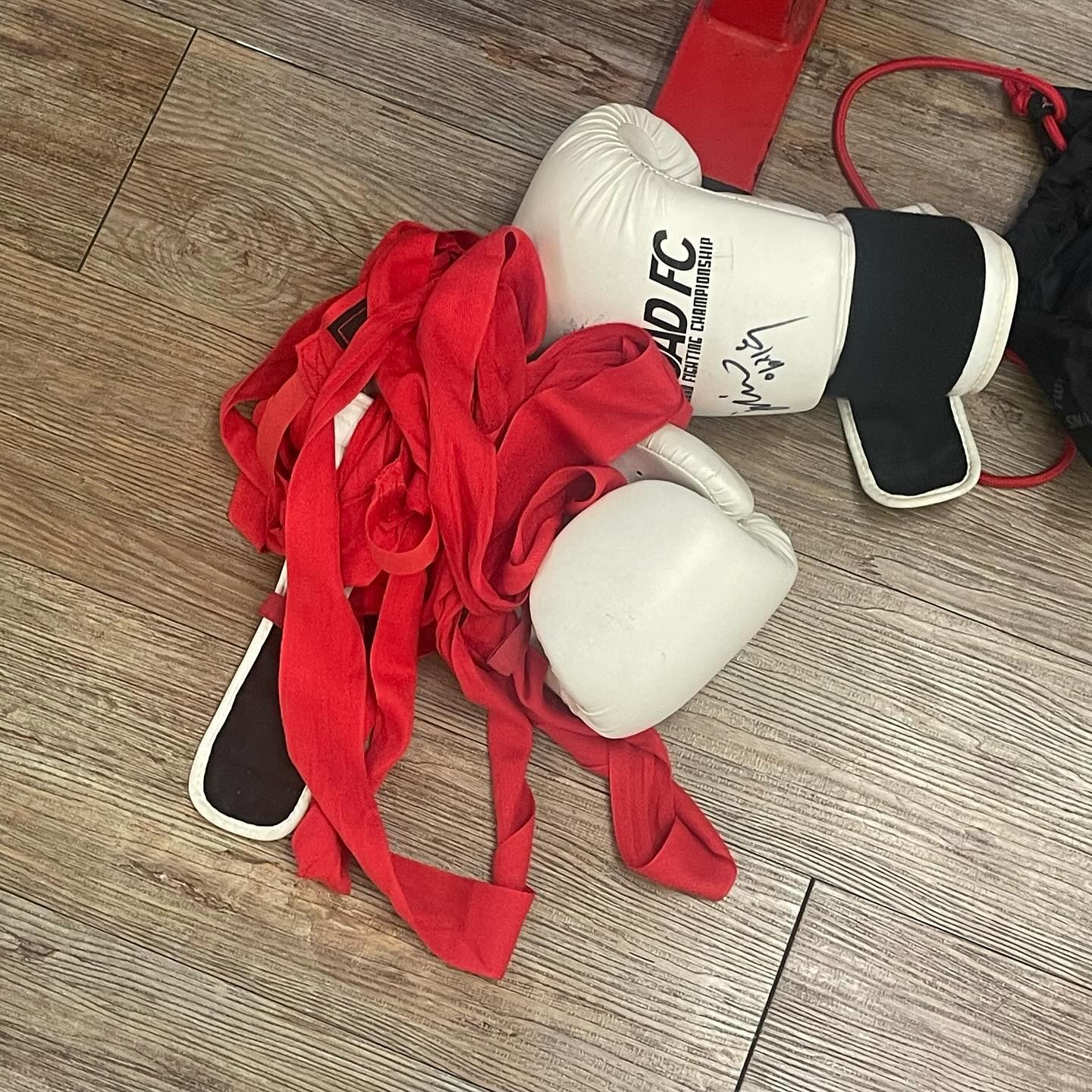 나 사도세자 
강한남자로 다시 태어난다 
for self-defense

현실은 줄넘기
