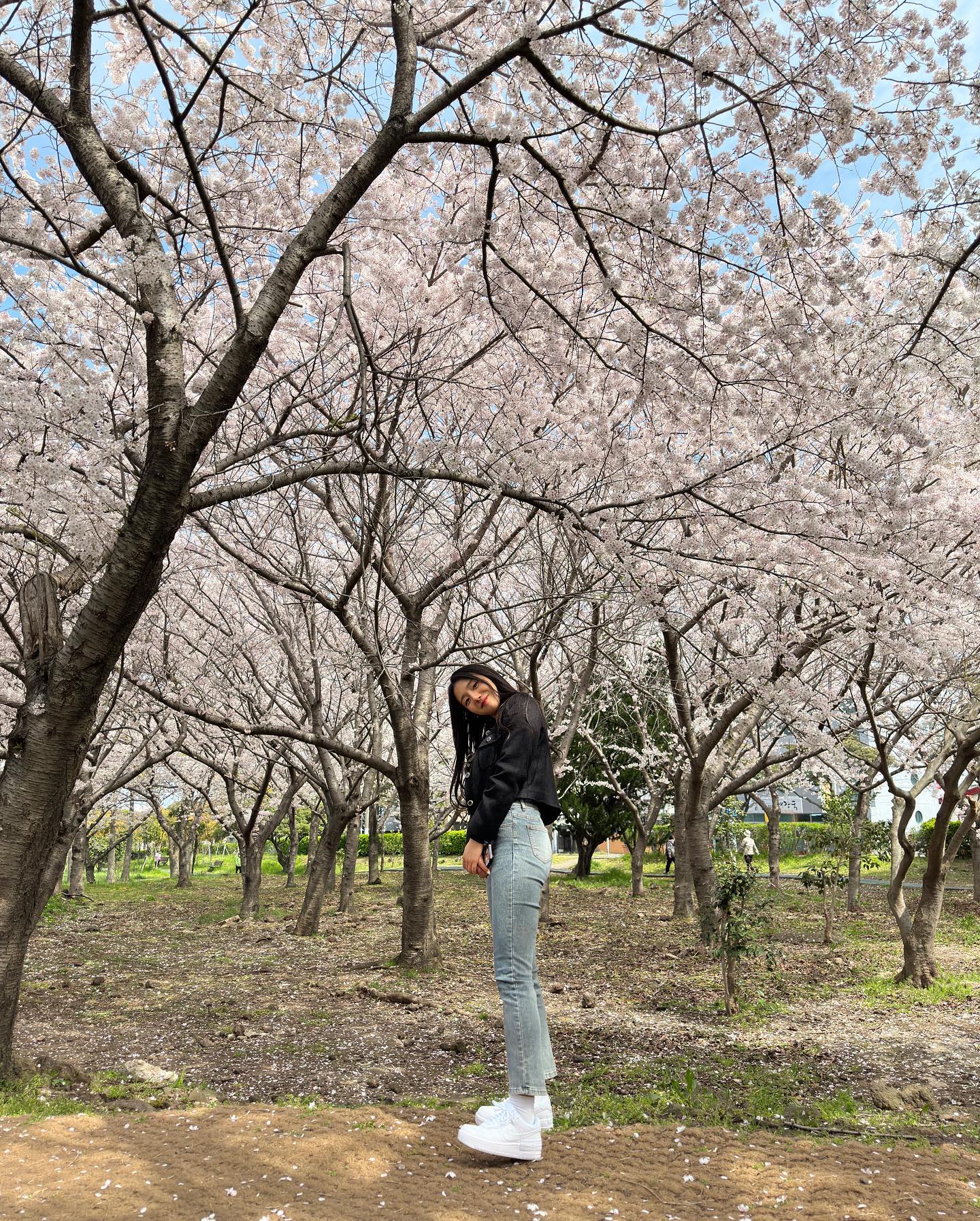 벚꽃필 때 제주도는 처음이라..🌸
여행 전 제주도 벚꽃스팟을 엄청 찾아봤었다
찾은 것 중에 그냥 아침겸 점심 먹고
제일 가까웠던 신산공원에 갔는데 너무 잘 갔다🌸🌸🌸🌸

노린건 아니지만 개화 시기도 잘 맞았고
귀여운 꼬맹이들도 보고 동백도 종종 보고🌺
제주 신산공원 가볍게 산책하기도 좋아서
벚꽃스팟으로 절대 잊지 못할거 같다

카페진정성에서 먹은 샌드도 절대 잊지 모태….
또 가야지😋

#20230330 #제주도