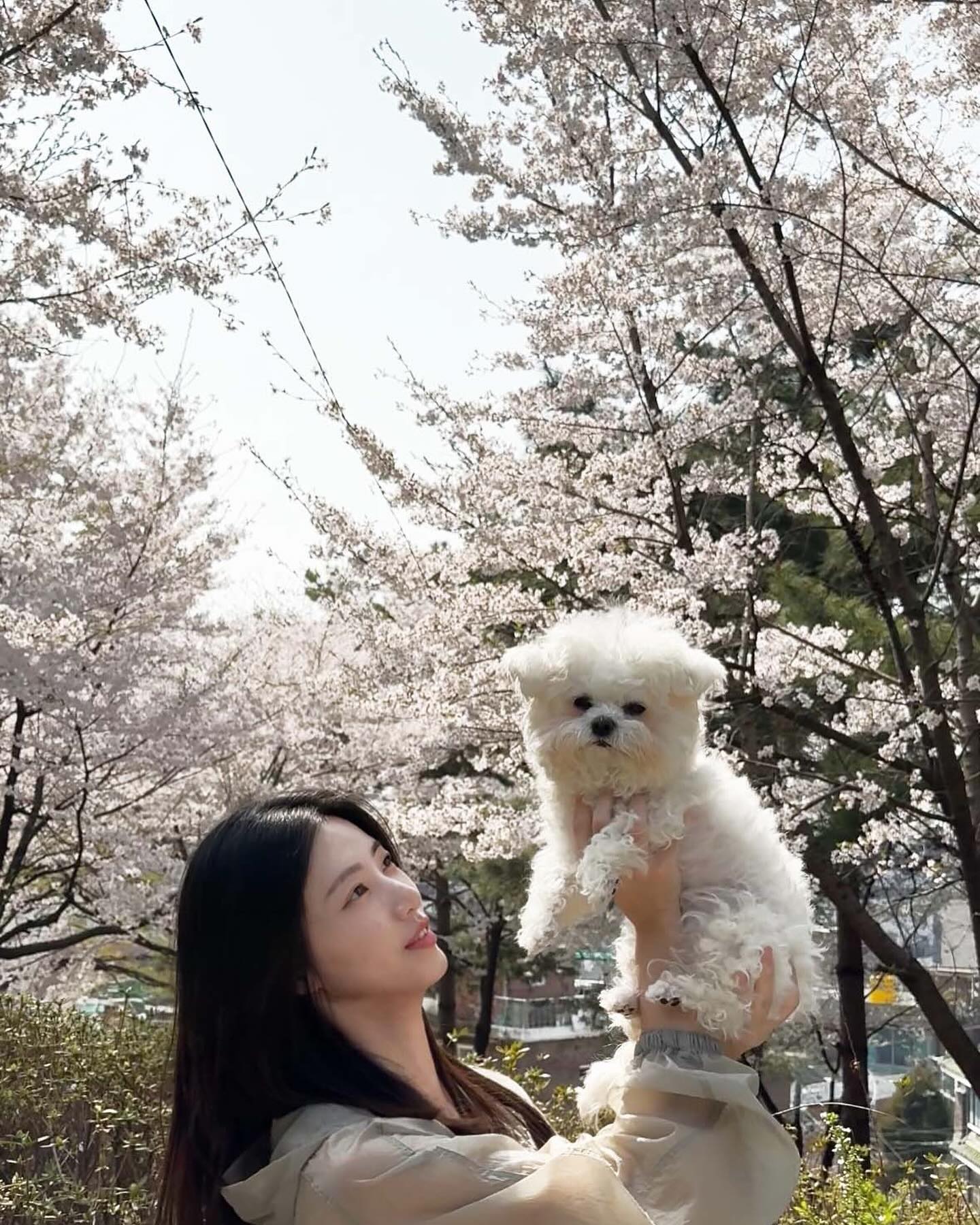 안녕하세요. 선한 영향력을 전하고자 왔어요.💙

🪽포스팅만하면 1,000만원을 기부할 수 있다고?

✧ 현대아울렛x카라 
유기견 입양 돕기 캠페인 

인스타그램 피드에 반려동물 올리면 참여완료! 
(단, #흰디와행복의집 해시태그 필수)
hyundaioutlets

✧ 누적 게시물 525개가 넘으면 동물권 단체인 ‘카라’ 에 1,000만원이 기부됩니다.‼️
(이벤트 기간 : ~ 5.31)