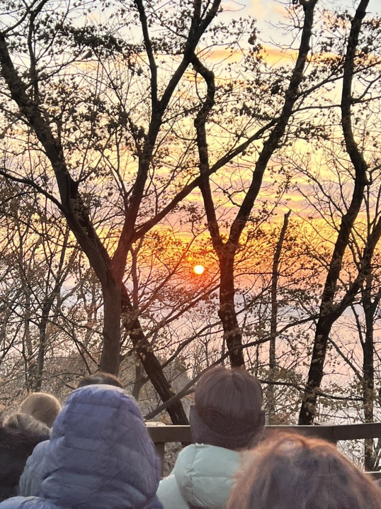 우면산 일출/오늘햇살참좋다, 겨울 수분 촉촉 선크림/힐그라운드/등산,스키장선크림