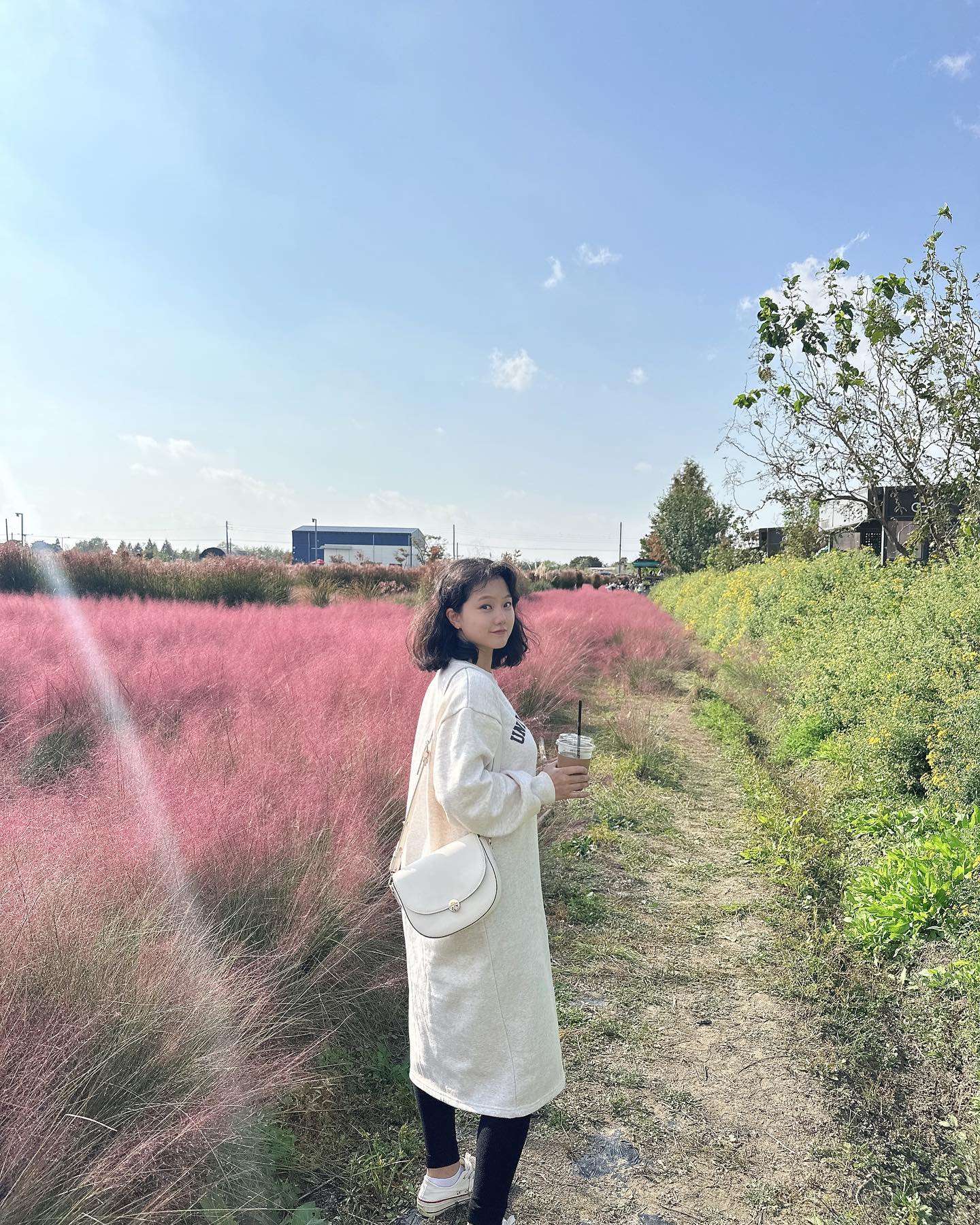 작년부터 가고싶던 바람새마을💕
#핑크뮬리 #질리게 #봐야지
#드디어 #온 #평택 #바람새마을 
#작긴 #하지만 #이쁘고 #힐링되네 
#옆에 #소풍정원 #있어서 #같이 #나들이