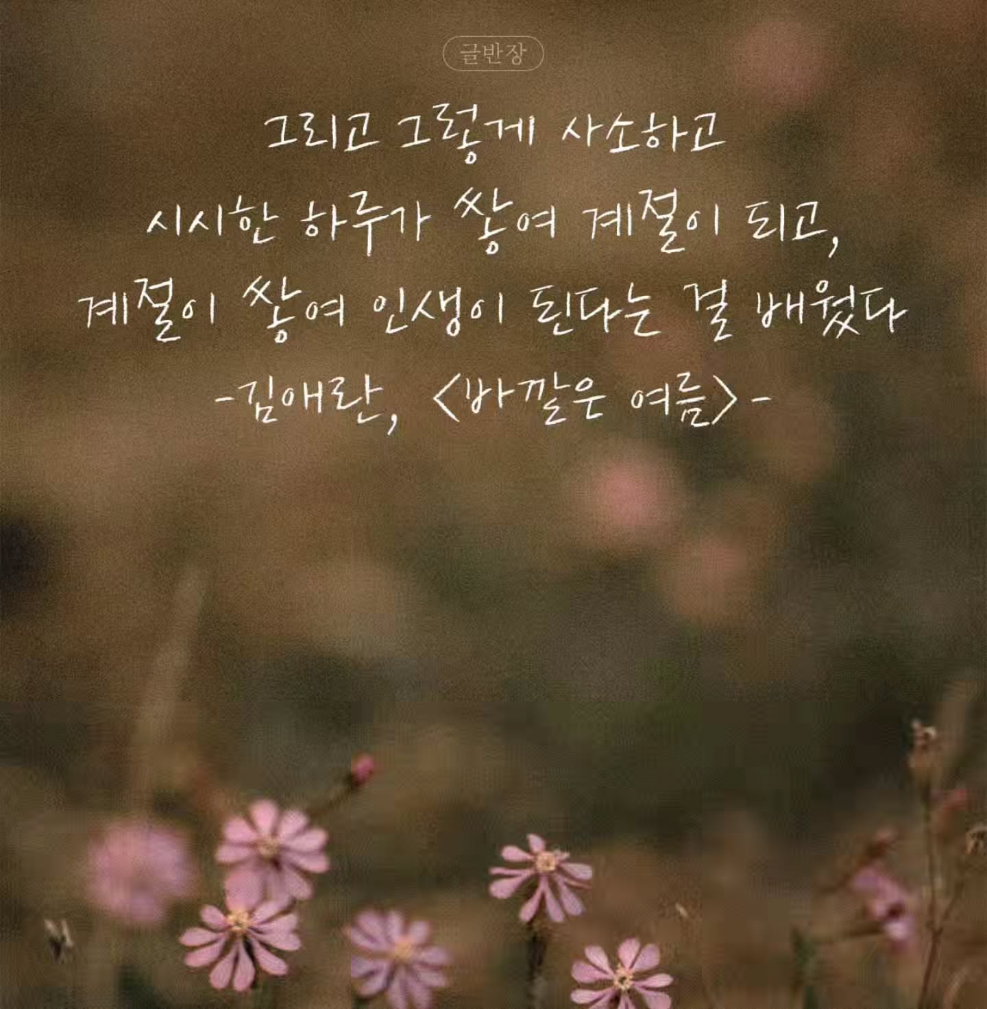 콘텐츠