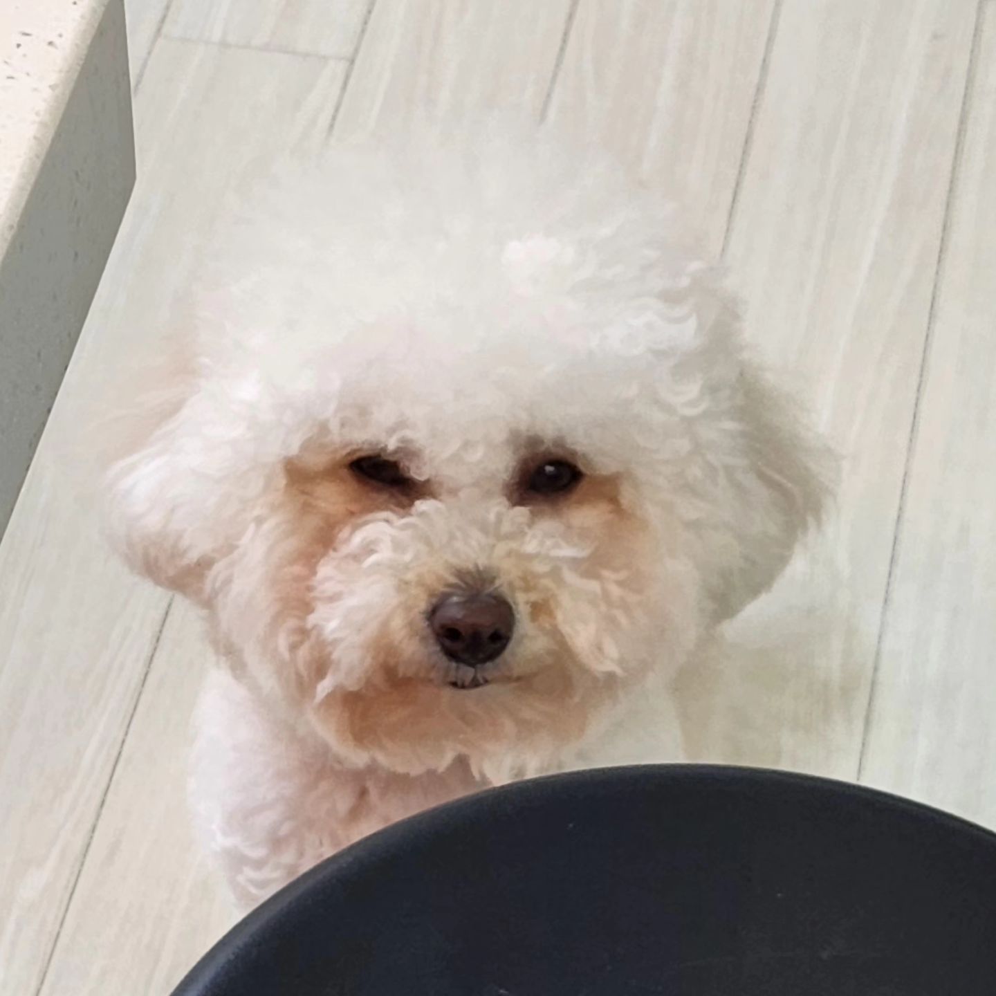 졸리면 들어가서 먼저 자라구...

#같이자야되는애
