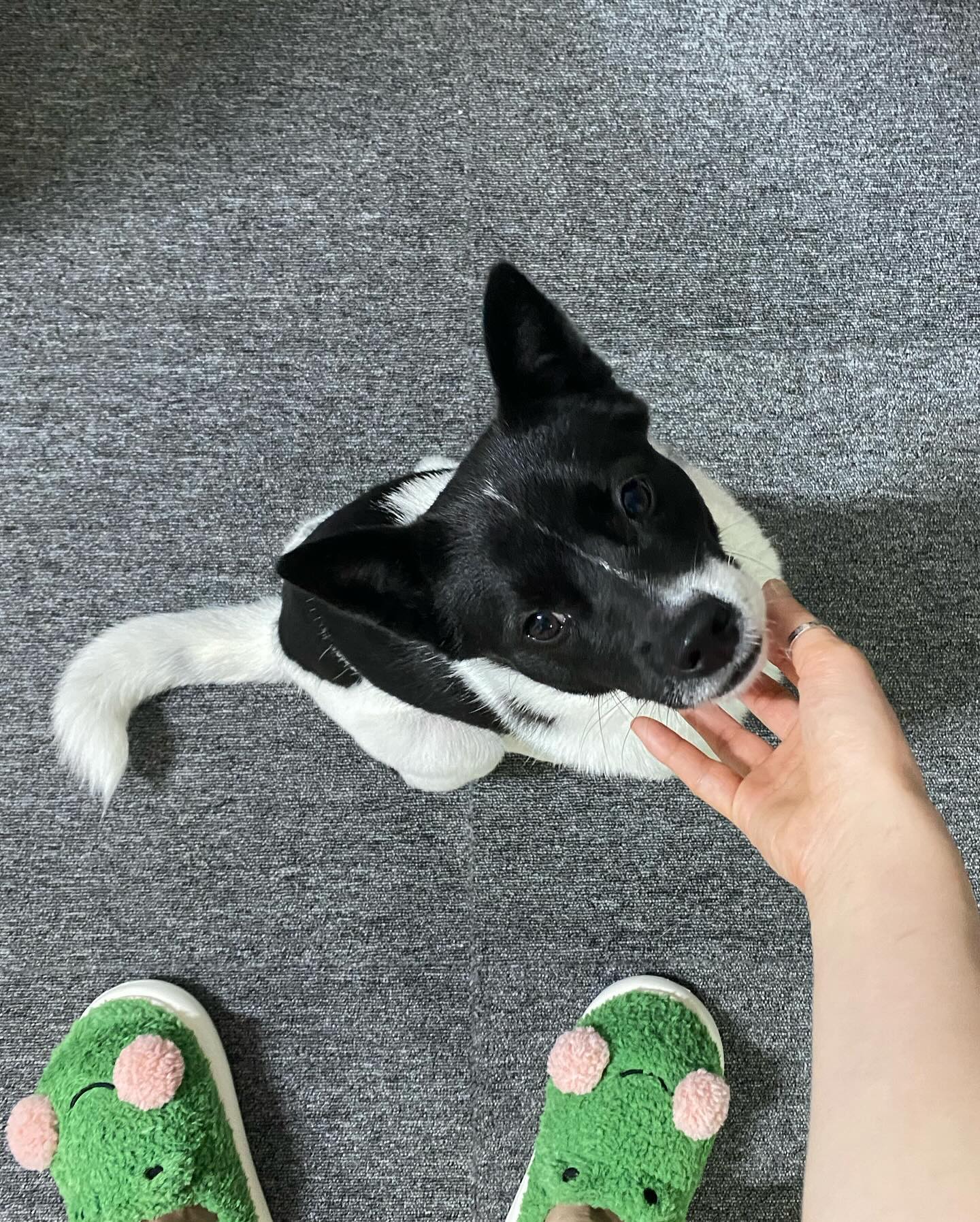개구리슬리퍼와 탱탱💚😛