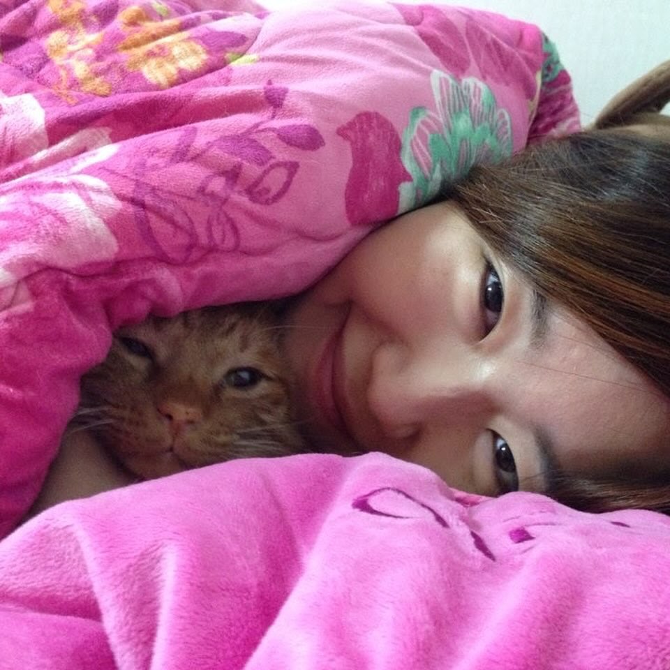 -
20111010-20240911 #RIP #알랭구 ㅠㅠ
지난 수요일에 알랭이도 무지개다리를 건넜다. 2011년 신수동 골목길에서 주워와 나혼자 키우다가 2012년 10월20일부터는 동생이랑 셋이서, 2013년 5월21일부터는 대흥동에서 보통이랑 넷이서 사이좋게 살다가 2014년 11월 나혼자 결혼을 하며 방출되었는데…

그로부터 10년이 지났네😭 한번씩 알랭이랑 보통이를 만나러 갔지만 자주는 못 만났다. 특히 보통이 떠난 이후로는 한번밖에 못봤는데.. 내가 넘 무심했네.ㅠㅠ 

알랭이를 첨에 데려와서 한달 즈음 지난 날이었던가, 정말 작고 귀엽고 사랑스러운 아기고양이였던 알랭이를 껴안고 정드는 게 무서워서 그리고 언젠가 헤어질 날이 올거라는 사실이 슬퍼서 펑펑 운 적이 있는데, 역시나 그것은 정말 너무 슬픈 일이었다.😭 

작년 초 꿈에 금니가 두개 빠져서 보통이처럼 알랭이와의 작별도 예상은 했지만… 정말 너무 슬프네😭 당분간은 생각날때마다 엉엉 울어야겠다. 흑흑흑흑ㅠㅠ 언젠가 다시 만날 수 있길 기도하며… 잘가 알랭아ㅠ 천국에서 만나자😭

마지막 사진은 주웠던 날, 그 앞사진은 올해 1월 말에…ㅠㅠ