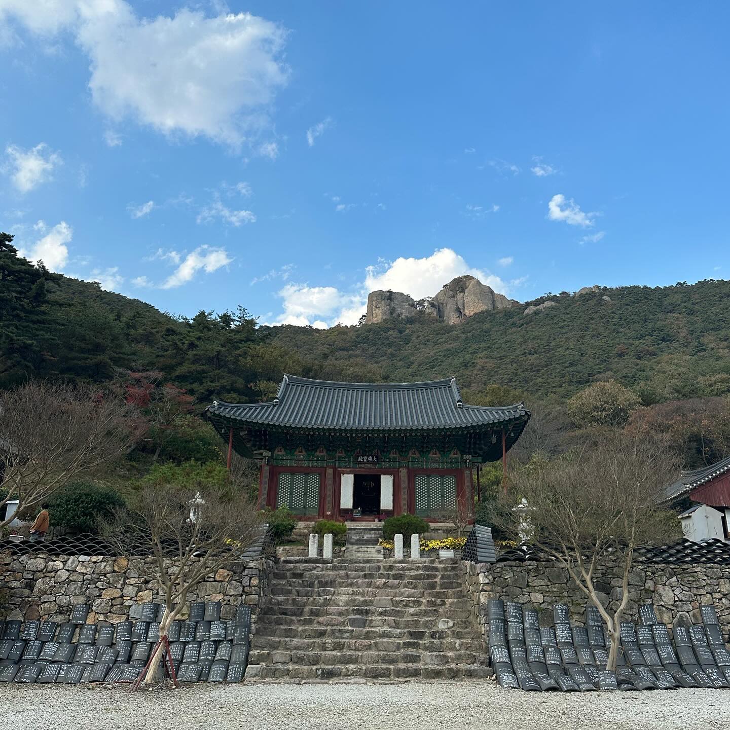 콧바람