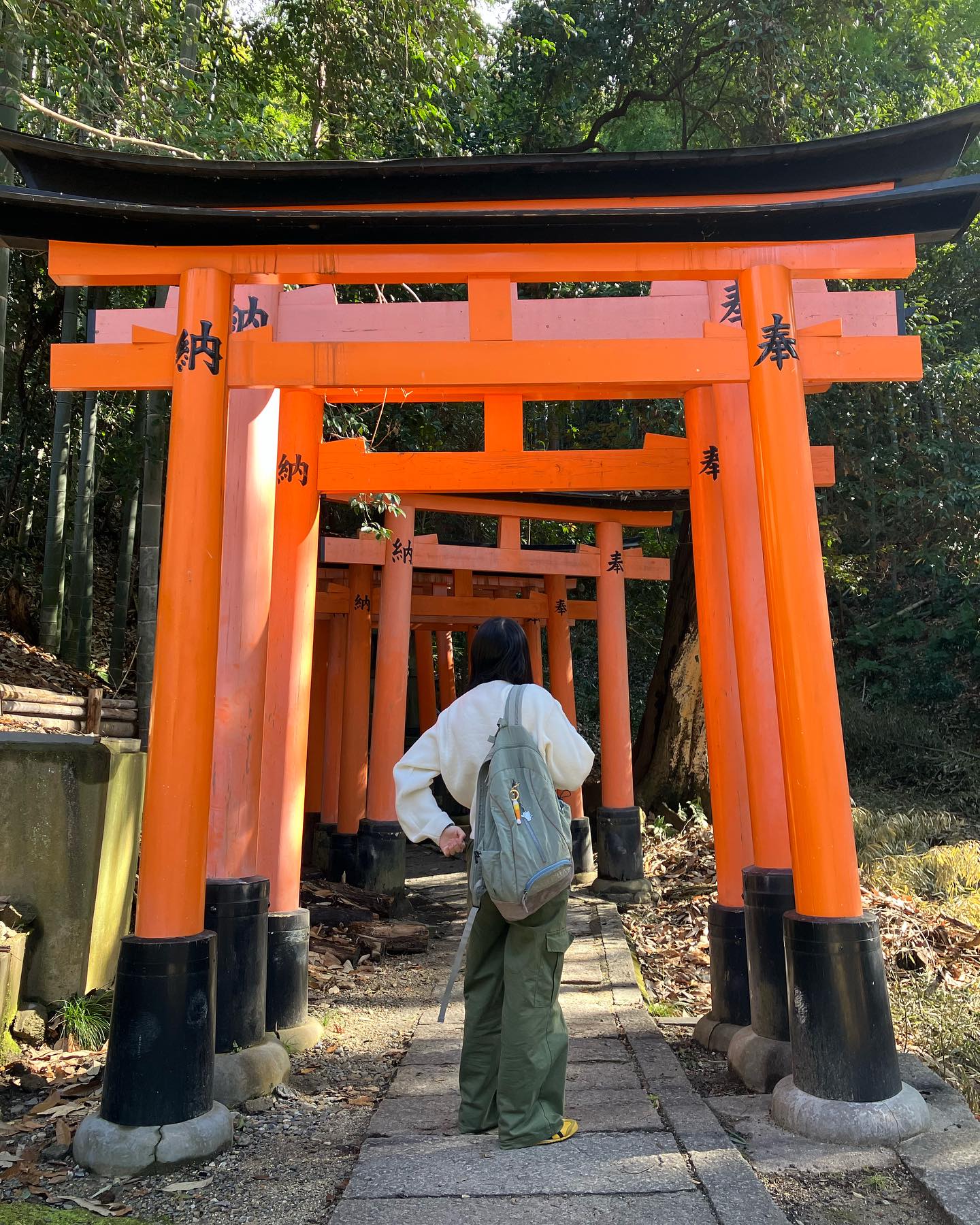 🦊⛩️