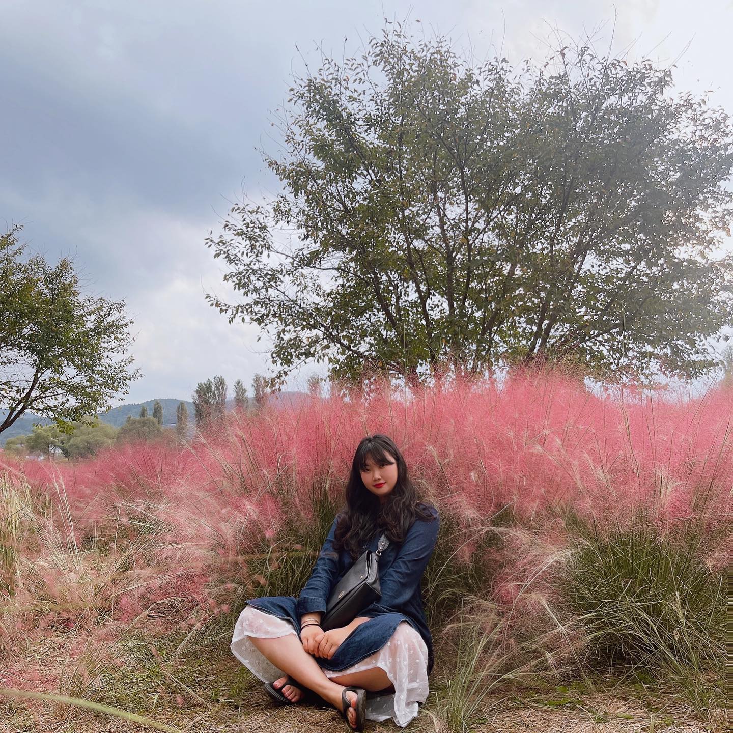 핑꾸뮬리와 함께 그리고 미니미 빠더
💕🎀💖💓💞💝💘🌸🌷🎀🌺🐖👚🍬👙🩷👛🦩
#핑크뮬리 #뮬리 #자라섬꽃페스타 #자라섬 #자라섬페스티벌 #follow #pink #데일리 #dailylook #가을 #축제