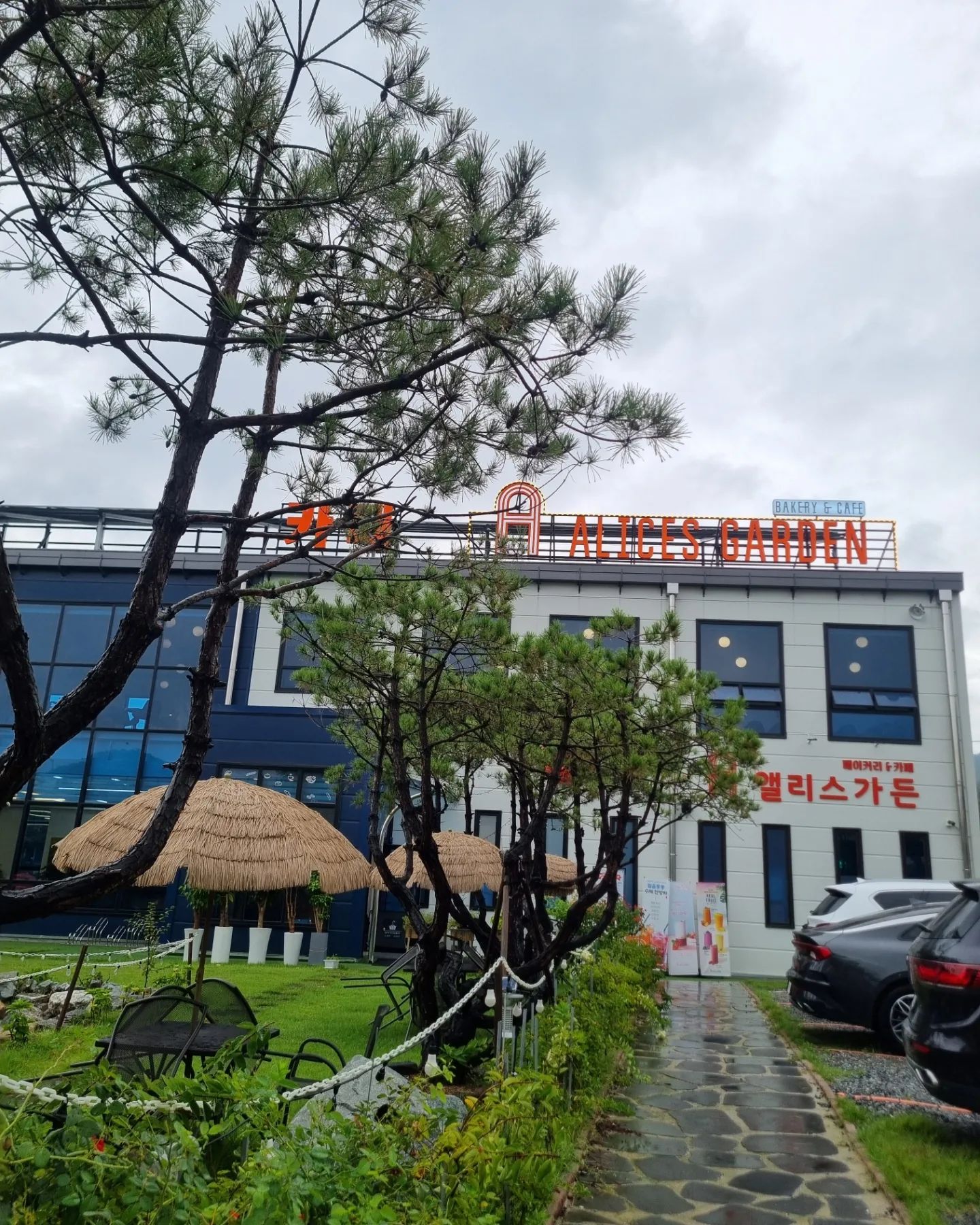 #만의골도장깨기

-앨리스가든

장점
주차 편리 크고 넓음,카체 자체 공간넓고 쾌적한 자리배치, 라떼가 부드럽고 맛남, 아기의자 있음, 근처에 맛집 있음

단점
빵은 가격대가 있는 편이지만 단품마다 호불호 좀 있음
빵들이 투명 케이스 뚜껑없이 있는 게  제일 아쉬움

카페에서 한잔 때리고 옆에 주차장에 주차한 체로 (주차가 매우 협소한) 은행나무집가서 도토리묵에 손두부먹으면 극락

🫶

대학교때 만수동 처음 이사올 때 인천에 이런 시골이 있나
너무나 신기했는데, 살면살수록 너무 빠져든다😄
-
#26주차 #임산부일기 #인천카페투어 #만의골카페 #앨리스가든 #라떼맛있네 #☕️