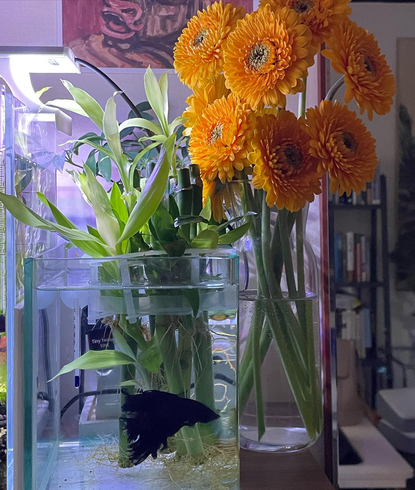 .
프리뷰 빼고 나니 사진이 많지 않은 4월.📸 완연한 봄기운에 어딜가나 꽃이 가득 피어서 눈호강도 잘 하구, 날 따셔지니 몸도 맘도 한결 가벼워져 좋은 사람들도 많이 만나구~ 즐겁게 보낸 것 같은데~~ 그러다보니 결국 감기로 병원행 마무리..😇