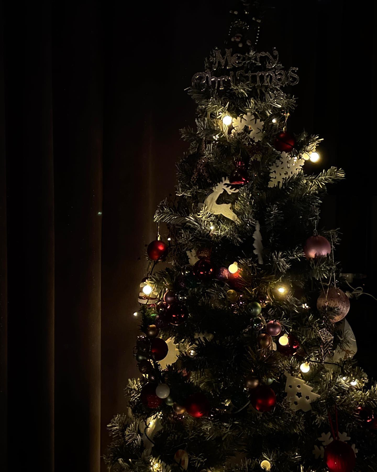 🎄