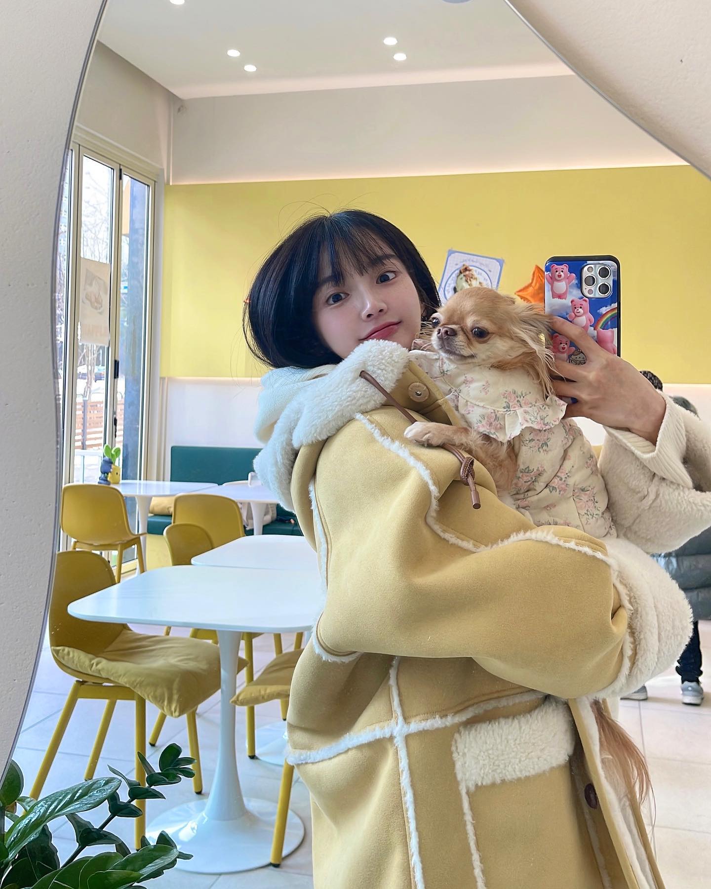 요즘 일상😛 치와와 정모 갔다온 다롱이
#치와와 #장모치와와 #장모치와와그램 #치와와그램 #치와와스타그램