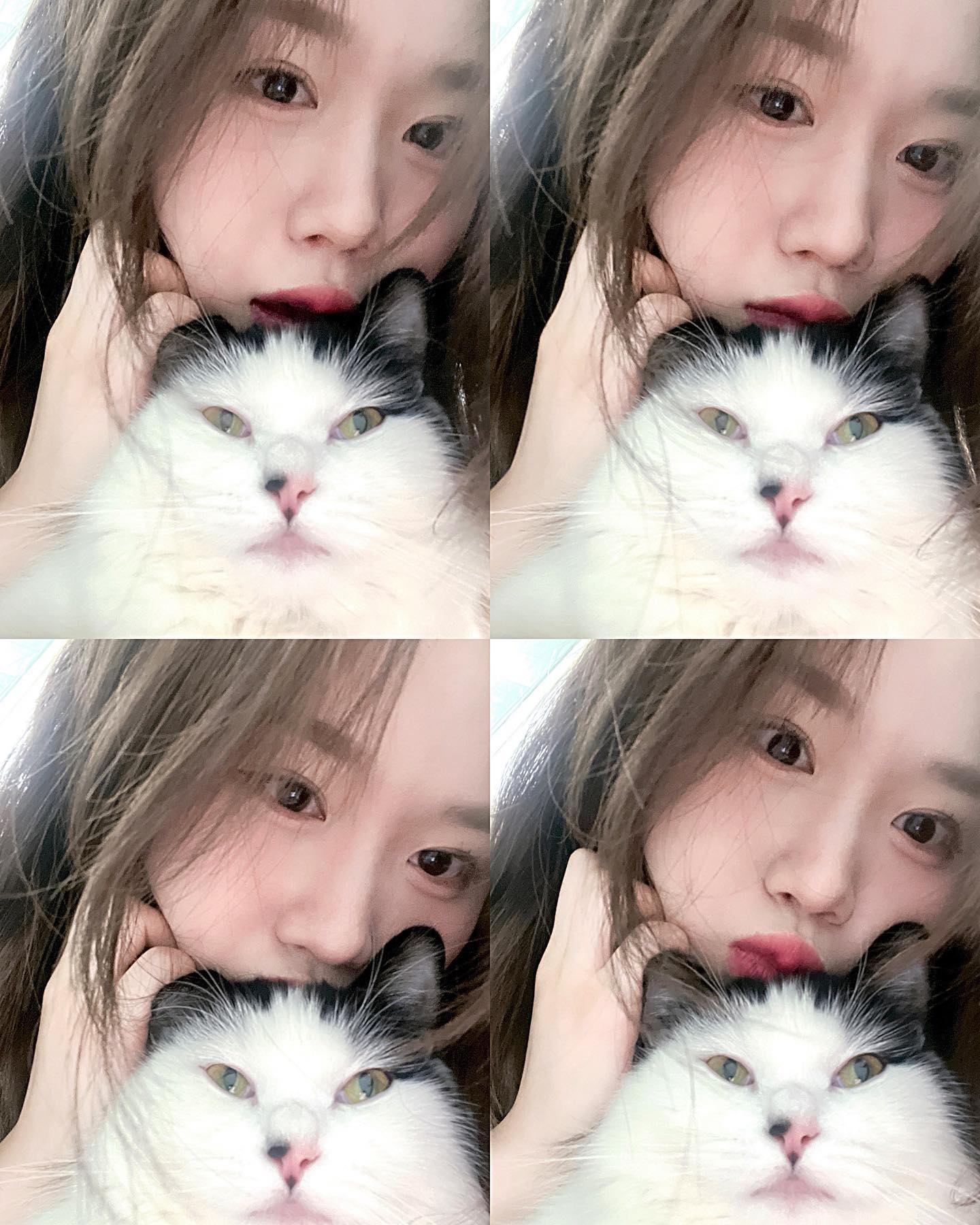빵이야 미안