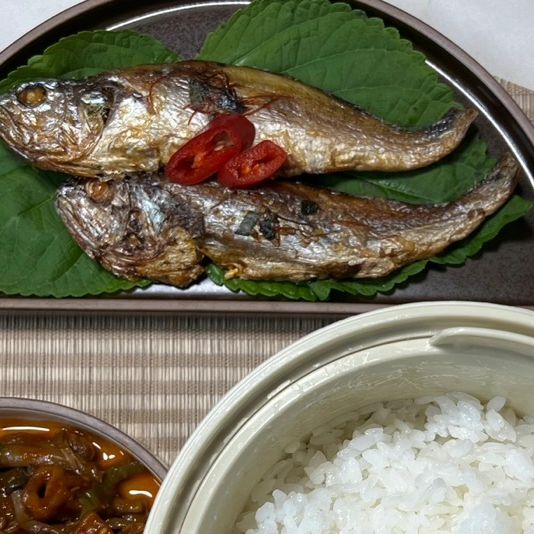 요리하는 박선생 🍽 on Instagram: "#광고 #제품제공 #집밥 밥쟁이들에게 꼭! 필요한 밥통! 먹는 즐거움을 포기할 수 없잖아요😙 먹던 양 그대로 탄수화물만 쏙! 시간도 줄이고 칼로리도 낮추는