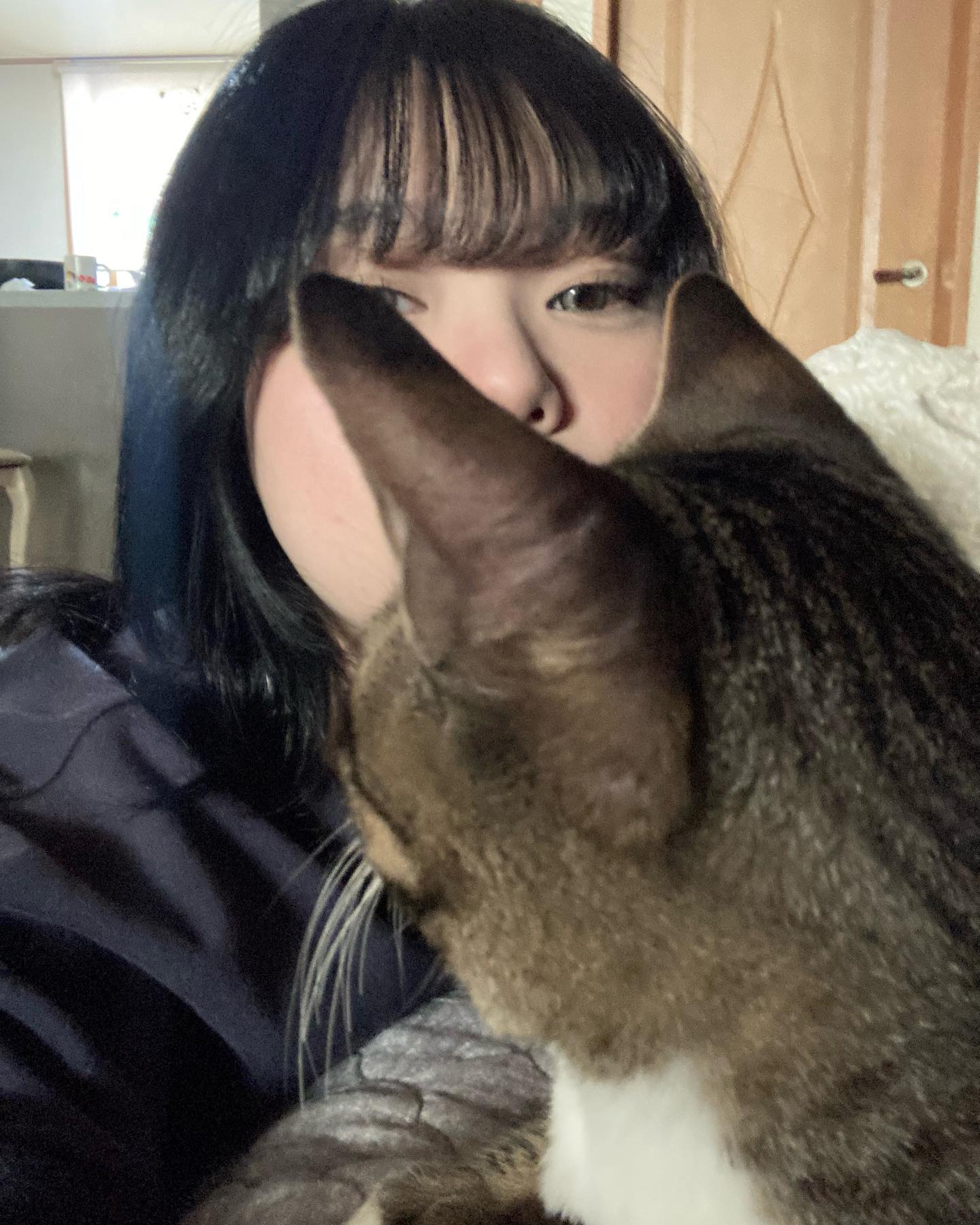 야옹아 멍멍해봐🐱