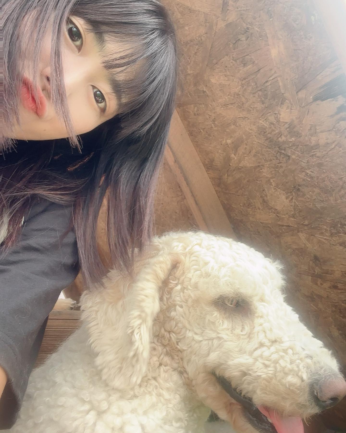 오랜만에 주비탱 믿음탱이랑 

같이 사진 한번 찍기 힘드네🙈

얘두라 나좀 봐줘..

(근데 옷에 개털좀 😂😂😂)

#셀카
#찍스타그램