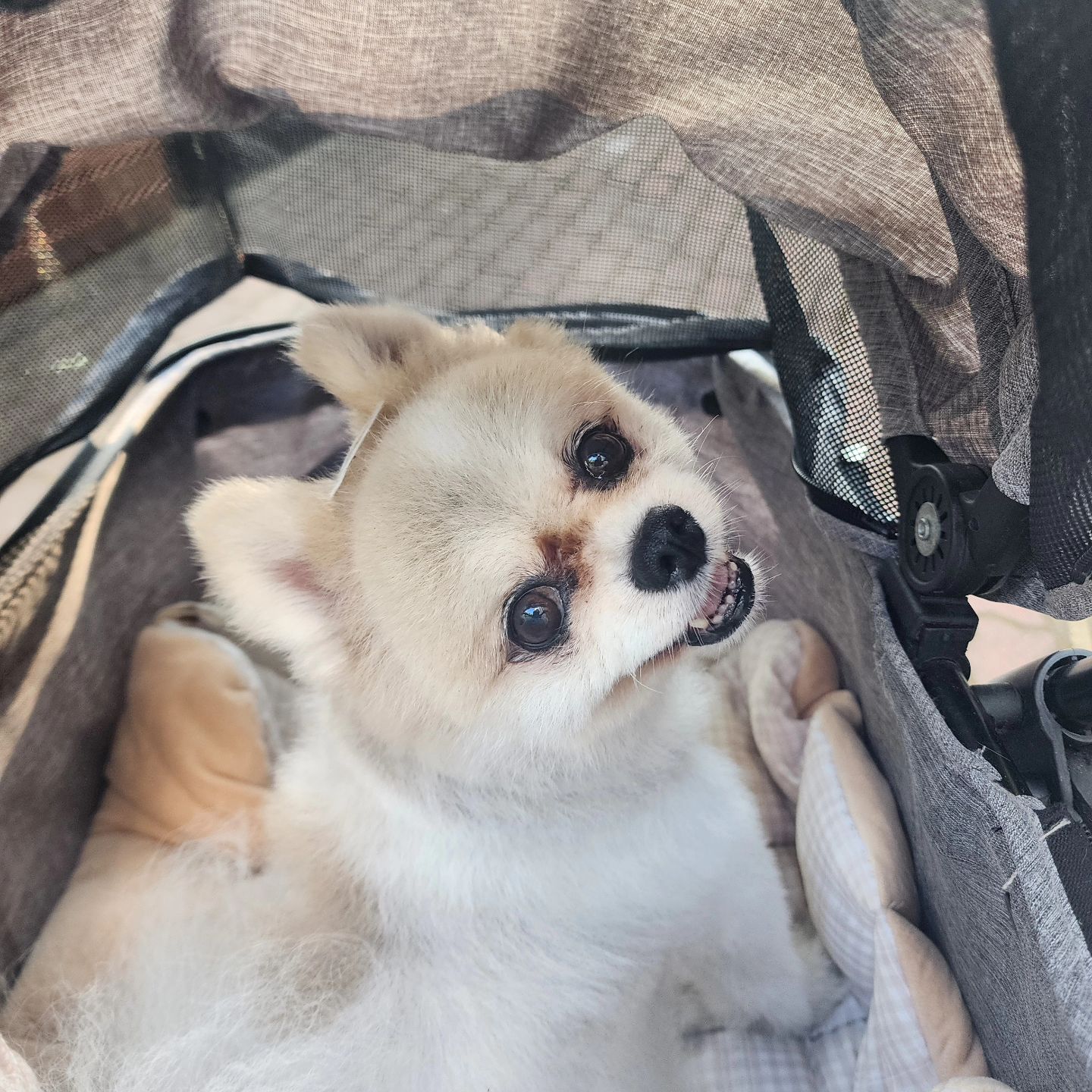 콘텐츠