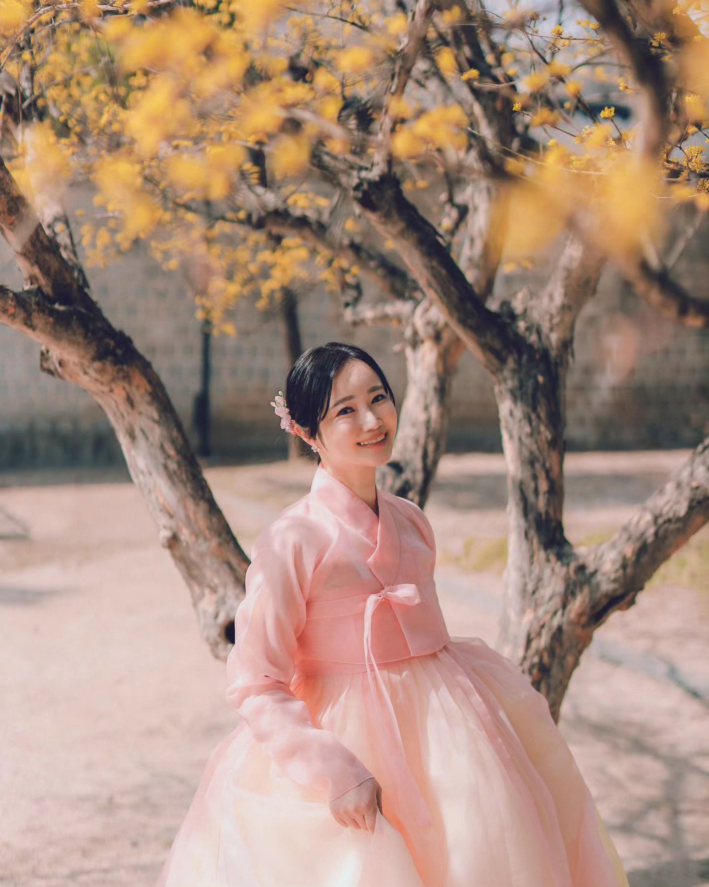 ⠀⠀⠀⠀⠀ ⠀⠀⠀
꽃 사진 정리하다 발견한 작년 사진🌸
⠀⠀⠀⠀⠀ ⠀⠀⠀