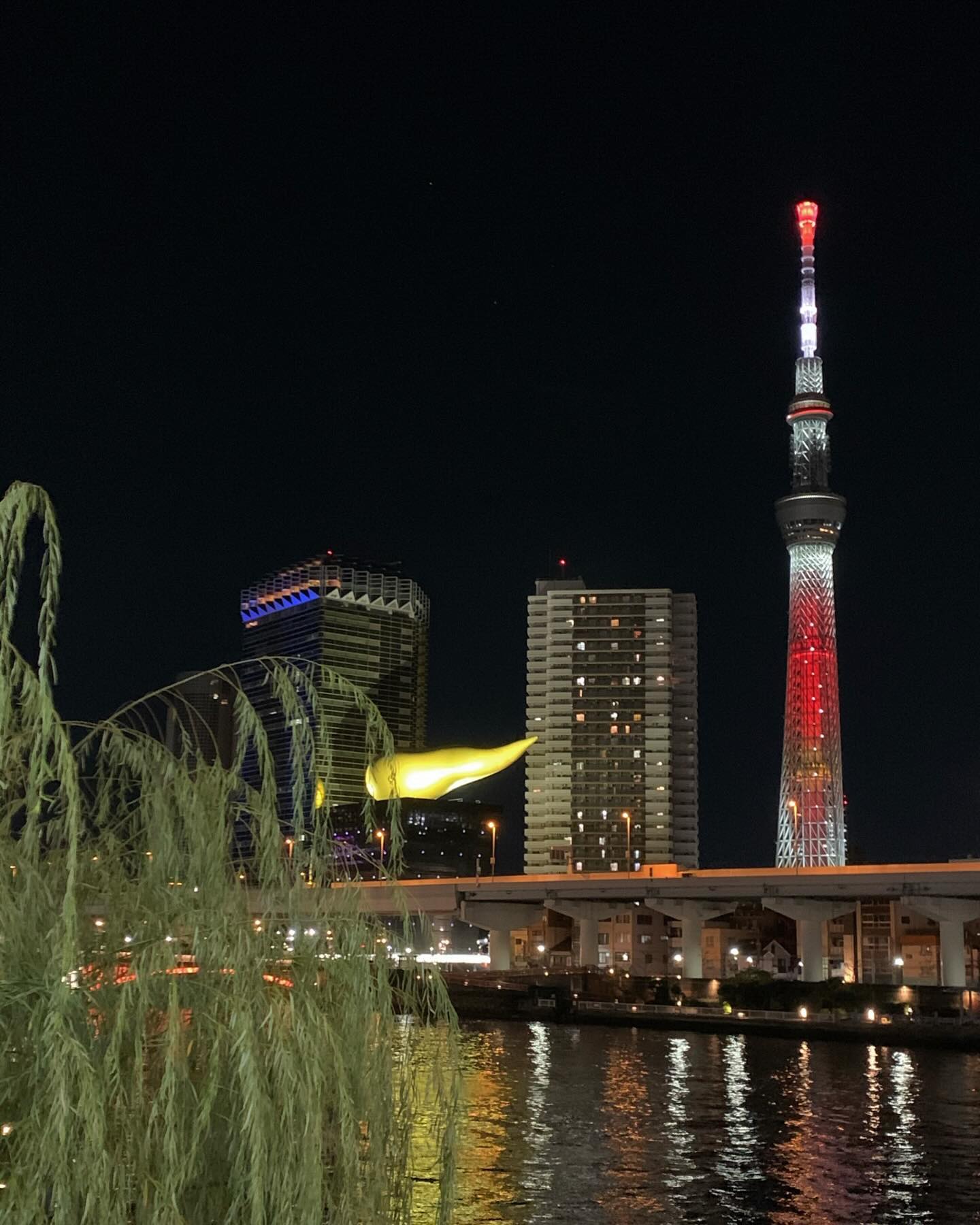 𝟐𝟎𝟐𝟑.𝟏𝟐 𝐓𝐨𝐤𝐲𝐨🇯🇵