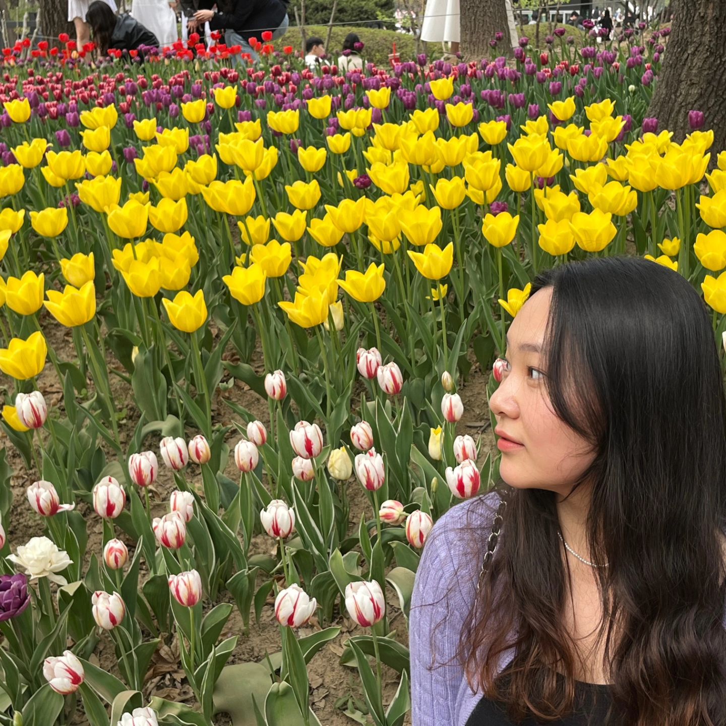 #서울숲 #튤립 #🌷