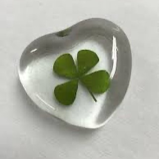 행운 가져가세욤🍀