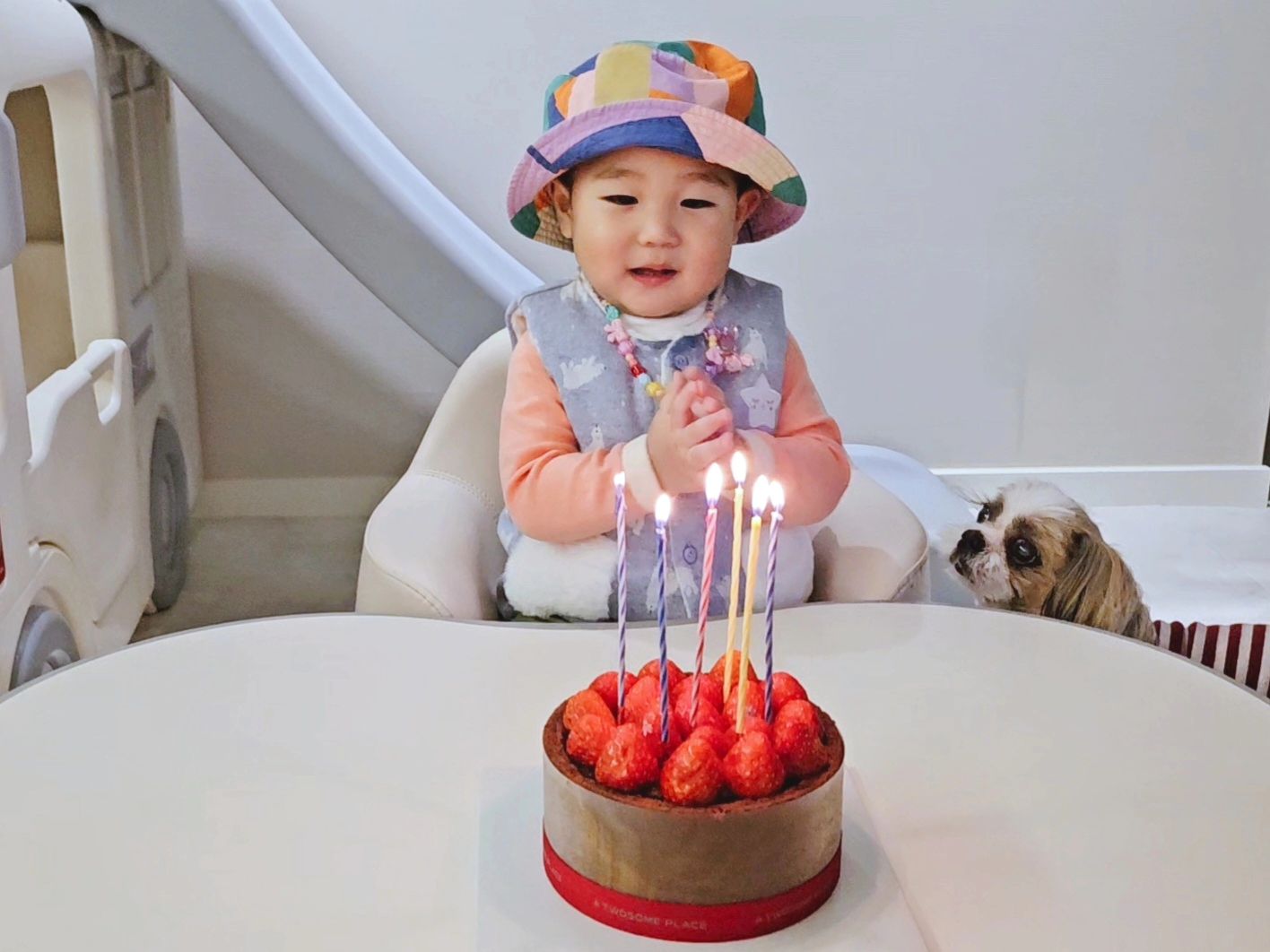 우리 호감이의 600일을 축하해 🩷
500일에는 샤워가운을 입고
600일에는 등산객컨셉?
시현이누나가 준 목걸이를 목에 걸기에 깔맞춤처럼
모자도 씌웠더니 끝내주네🙄
luvely_yun 이모가 선물로 준 케이크로 초도 불고 딸기도 냠 🍓 
축하해 준서야 오늘은 잘자💫