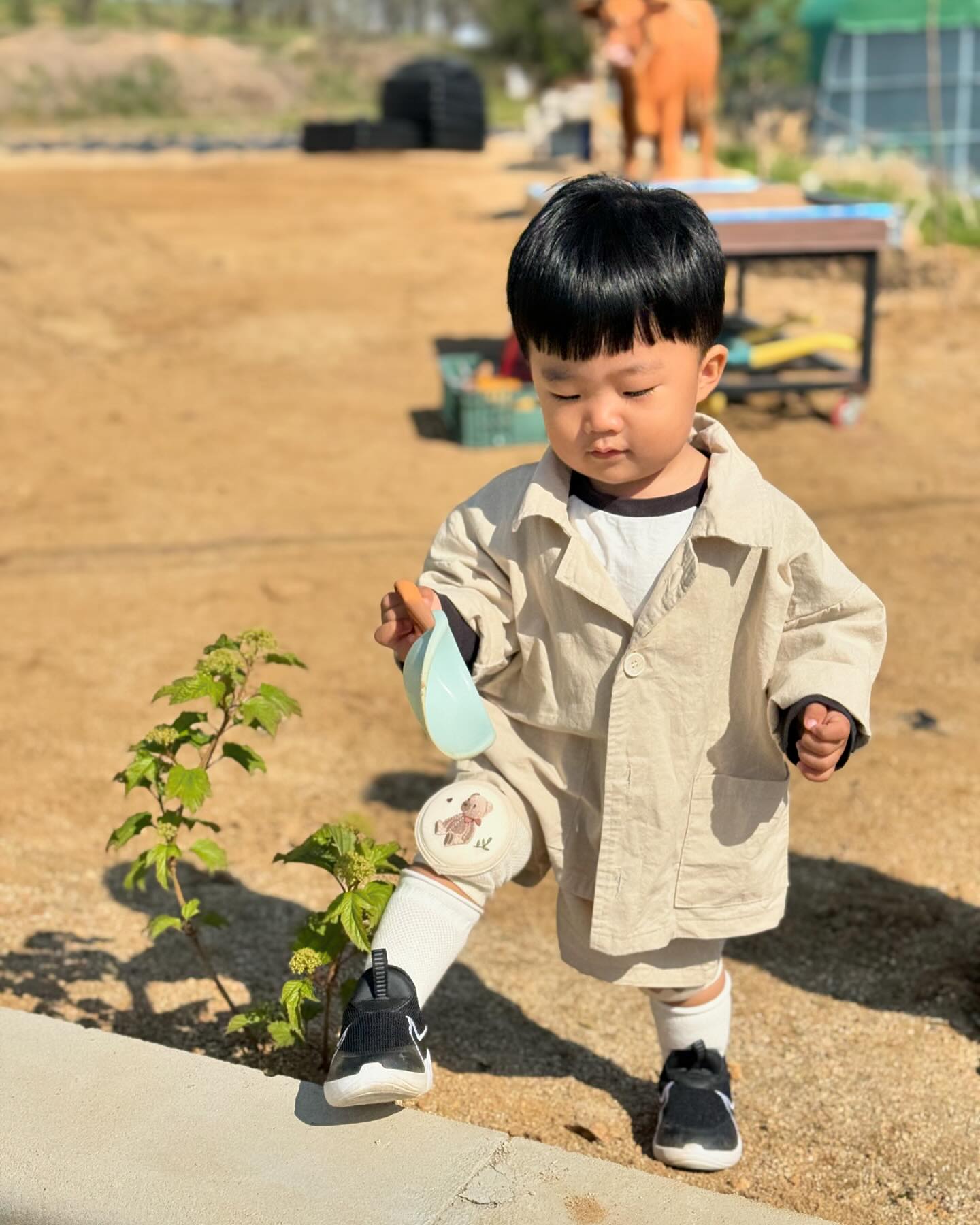 낮에는 벌써 봄여름날씨❤️‍🔥
요즘 날씨에 완전 찰떡같은 귀여운 재킷과 반바지👍🏻

daz_zling_s2 다즐링마켓 디자인도 엄마 취저
옷 가격도 왕저렴해서 지갑탈탈 털려도 안아까움♥️ 

#내돈내산 #다즐링마켓 #19개월아기
#아기옷공구 #아기옷마켓 #아기옷코디