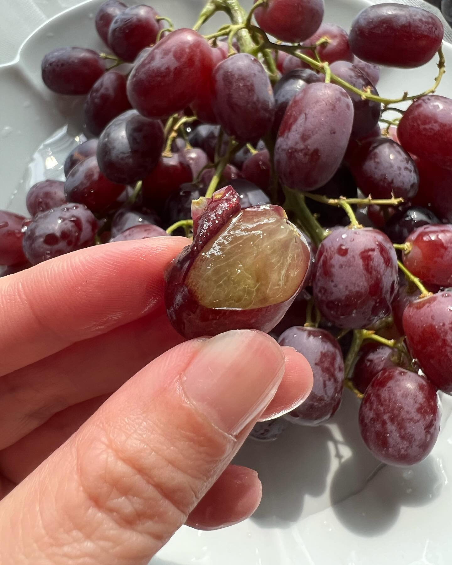 내가 좋아하는 포도가 1년만에 다시 돌아 왔구나🍇
3월 18일까지 
ASILL에서 오픈이벤트로 
10%할인 된 금액으로 만나볼수 있어요.

이건 꼭 먹어야한다규요오오오 🫠
구매링크가 필요하신 분은, 
제 프로필 링크에서 만나보세요 🌼

#포도 #그냥포도아니고맛있는포도 #수입포도 #할인중