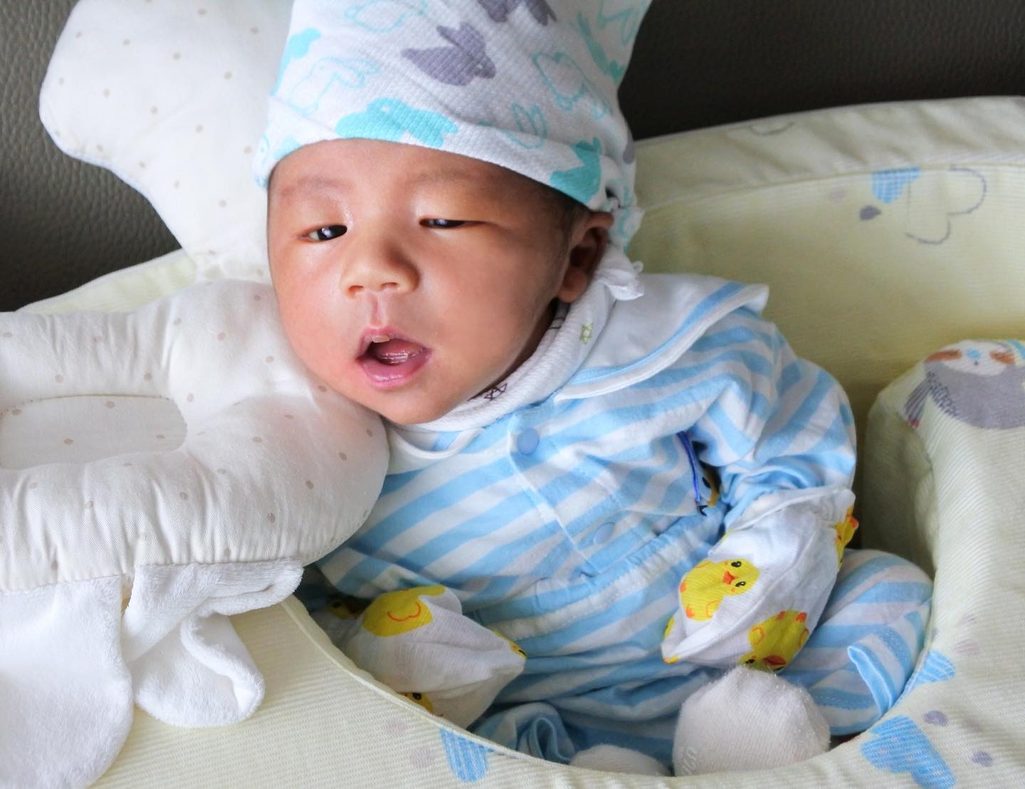 인생18일차👶🏻 토끼이모가 사준 꼬까옷 입꼬🎀