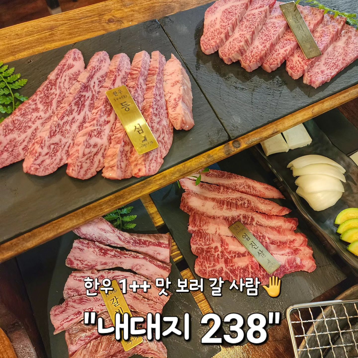 ✅ 용인 죽전동 "내대지238"

특별한 날 좋은 소고기 먹고싶은 사람🤚

용인시에 있는 #내대지238 은 
한우 1++등급 최상급 한우를 제공해요!🥩

산 속에 위치해 있는 곳이지만,
주차장이 식당뒤에 넓게 있어 좋고,

좌석은 프라이빗하게 모두 칸막이가 쳐져있어
모임이나 데이트 하기에 아주 좋은 곳!!👍

✔️ 한우 스페셜 모둠 180,000원 (3인)
→ 한우 부위별 셰프선정 4종 + 야채플레터 
 + 아포카토 or 크로플

1++등급이지만 굉장히 착한 가격이에요!

제가 이날 먹은 셰프선정 부위는
등심, 살치살, 갈빗살, 업진살 4부위였어요😆

고기가 구워지는 동안 서비스 육회와 샐러드로
입맛 돋구고❤️

금방 구워진 소고기를 4가지 시즈닝에 찍어먹으면✨
입안 가득 환상✨✨

최상급 소고기인데 말은 말해모해..❤️

소고기로 입안 가득 기름칠하고 후식으로 나오는
아포카토 한잔☕ 싹 먹으니까 완벽한 코스 였어요👍

이 곳은 산장같은 느낌의 인테리어와 
소고기를 2층으로 쌓은 예쁜 플레이팅때문에 
특별한 날 오기에 딱 좋은 곳이에요🌸

★한우불고기 밀키트도(1.2kg 25,000원) 무적권 사가기!
 (진짜 맛있고 양도 많아요!!!👍👍)

#내대지238 🥩
🏠 경기 용인시 수지구 죽전로238번길 78-2
⏰ 수요일~월요일 11시~22시 (L.O. 21시)
 (매주 화요일 휴무)