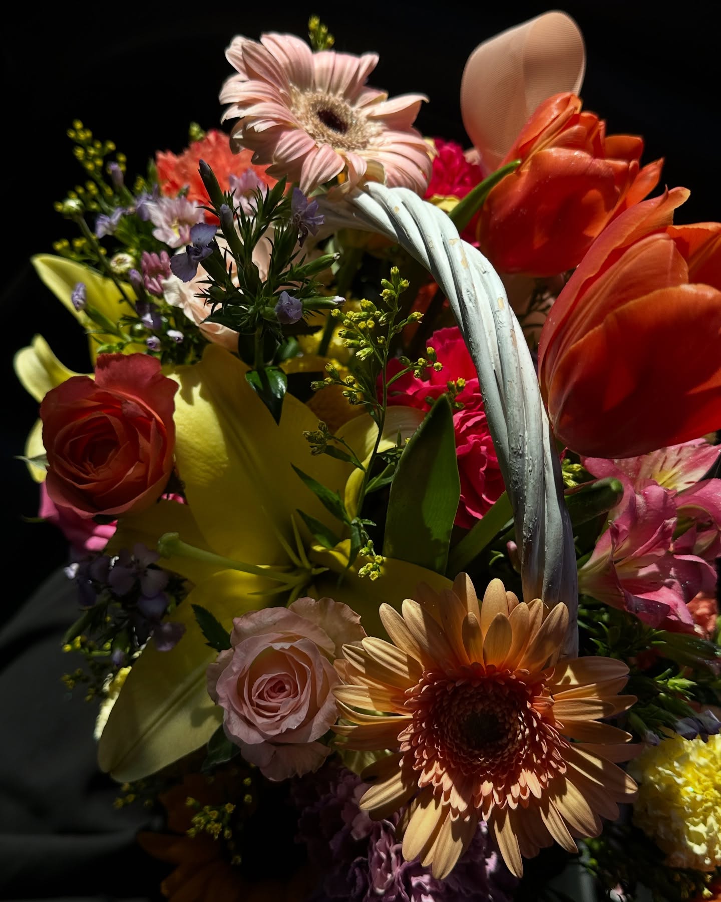 꽃만 보면 마냥 조흔 솰함 .. 🌷🌹💐🌼🪻