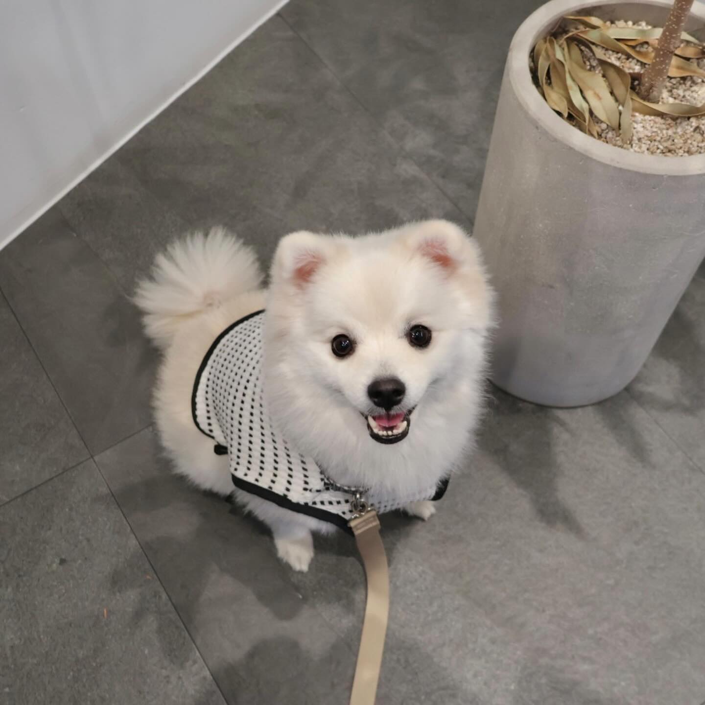 카메라 성능 대만족