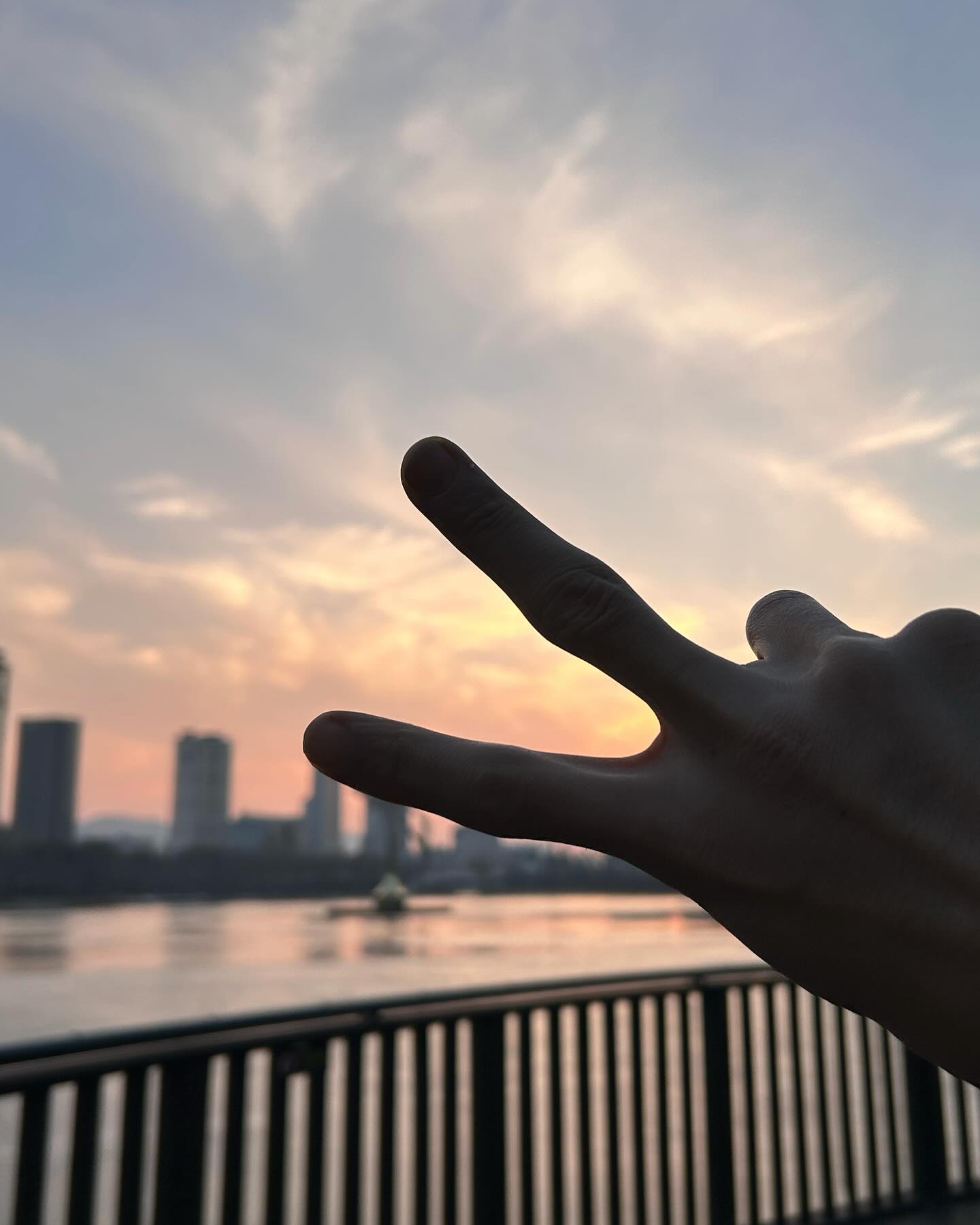 DAILY BLOG IN DECEMBER _ 3
_

2023년이 매듭이 지어졌다. 내가 슬피 잃어가는 것도, 귀히 얻어 가는 것도 많은 23년. 느릿느릿 게으른 내가 아주 조금씩 꼼지락거리며 평소보다 더 움직이고 노력한 해가 됐다. 결과가 어떻든 화내지 않고 미지근하게 나의 몸에 닿은 물처럼 자극 없이 받아들여보는 마음도 만들어보고, 저 멀리 또 다른 문화에서 낯선 도시 향기를 맡아보기도 했다. 바쁘게 살아가는 삶 속에 한 해가 지나가버리고 시간이 쏜살같이 달려 마음의 준비를 먹을새 없이 마무리가 되어버린듯해도 섭섭하거나 슬프거나 우울하거나 할 겨를이 없이 우리는 쏜살같이 바쁘고, 틈틈이 웃고, 땀이 나게 운동하고, 간지러운 사랑도 하고 깊게 잠이 들어야 한다. 그냥 그저 하루하루를 색이 알록달록하고 밀도 있게 내년을 시작해 보자.
✨HAPPY NEW YEAR✨
❤️새해 복 많이 받으세요❤️