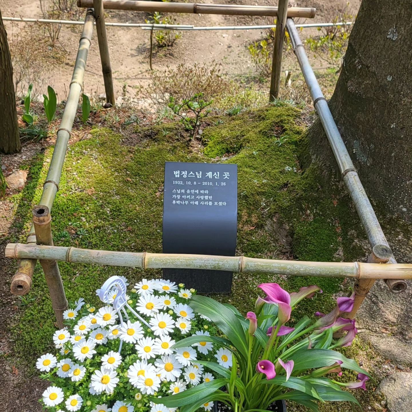 햇살이 따뜻한 날
기도를 다녀왔어요.
오랜만에 다녀온 불일암에도
많은 변화가 있더라구요.
삶에 정답은 없으니
옳고 그름이 무엇이
중요하겠나 싶더라구요.

모두 모두 복 받으시고
제수 많이 보세요~~

#용한점집 #용한무당 #순천점집 
#지원사
