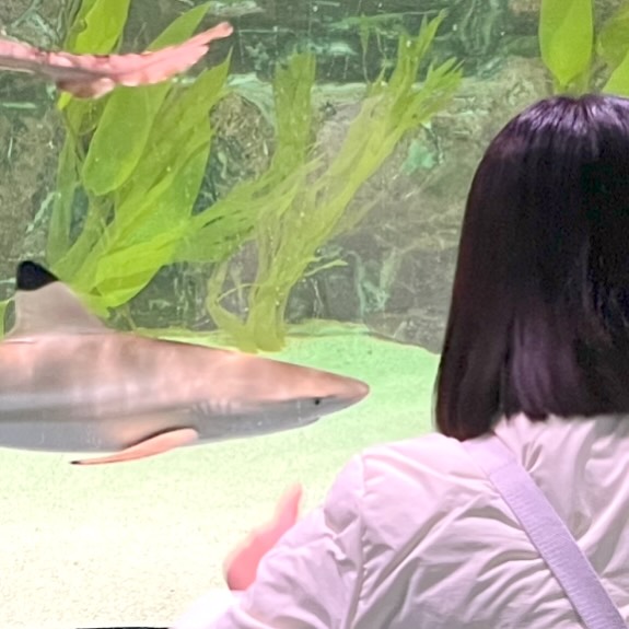 나는 잔전뉸...
너는 블랙팁샤쿠....