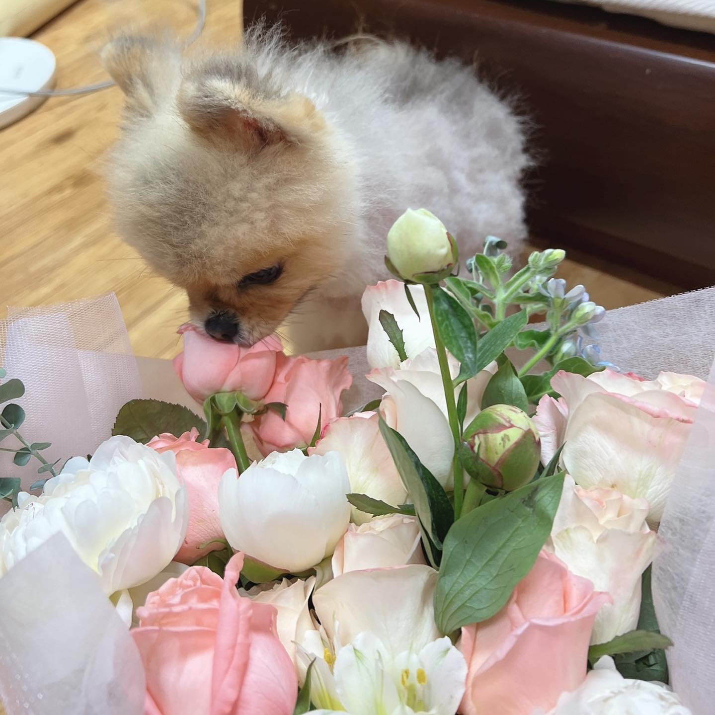이 집 꽃 맛있네🌸